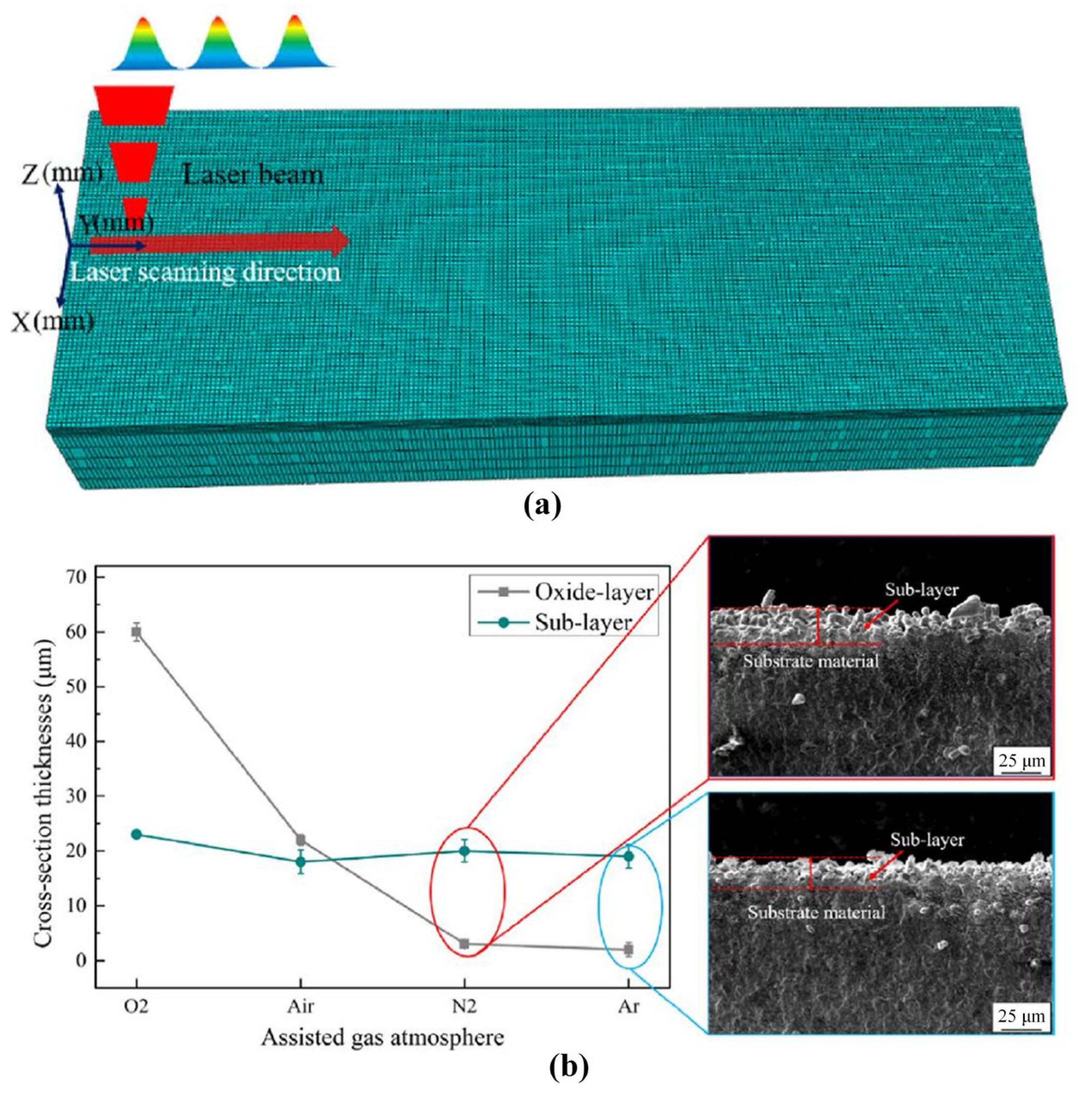 Coatings 13 00187 g004 Coatings 13 00187 g004