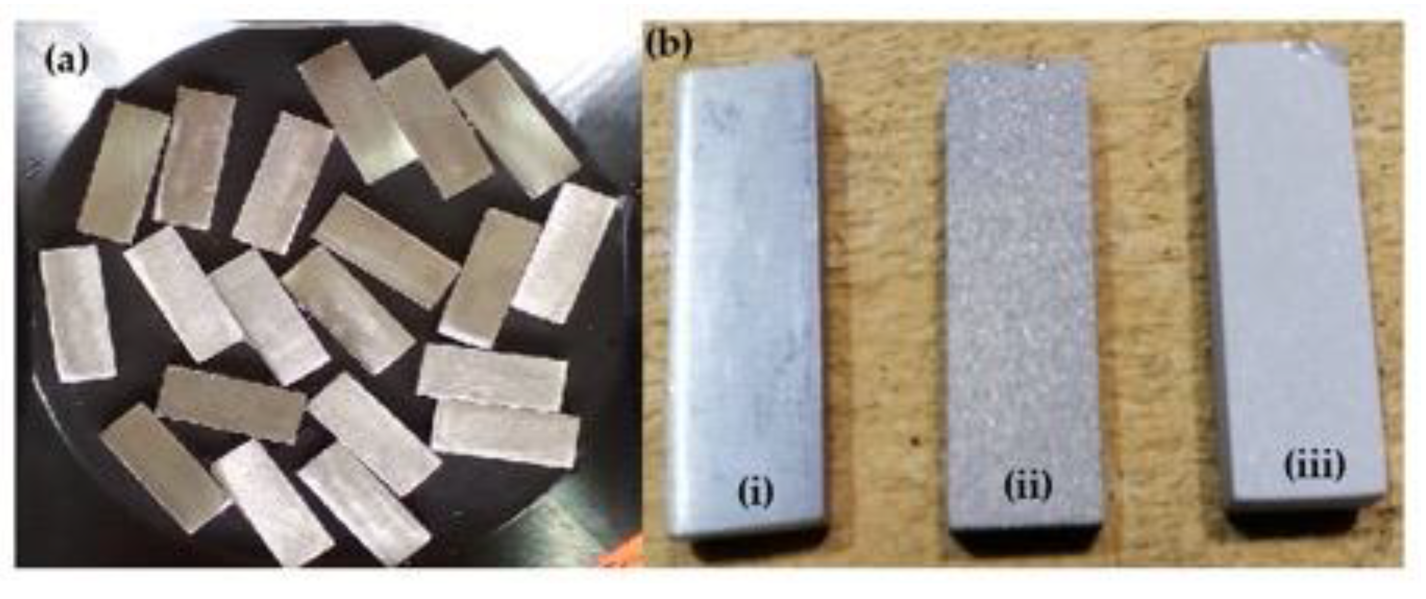 Coatings 13 00199 g001