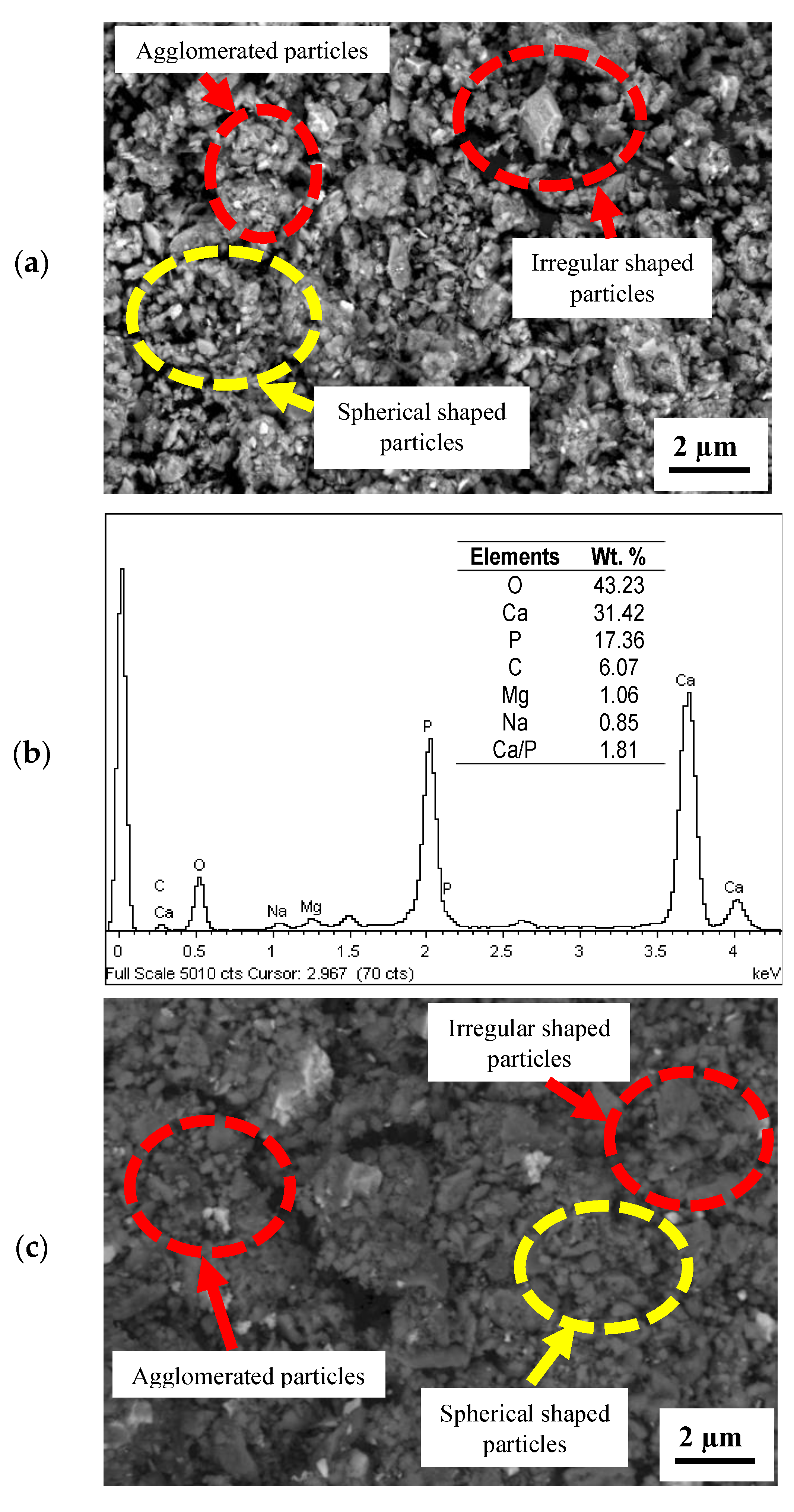 Coatings 13 00199 g005a