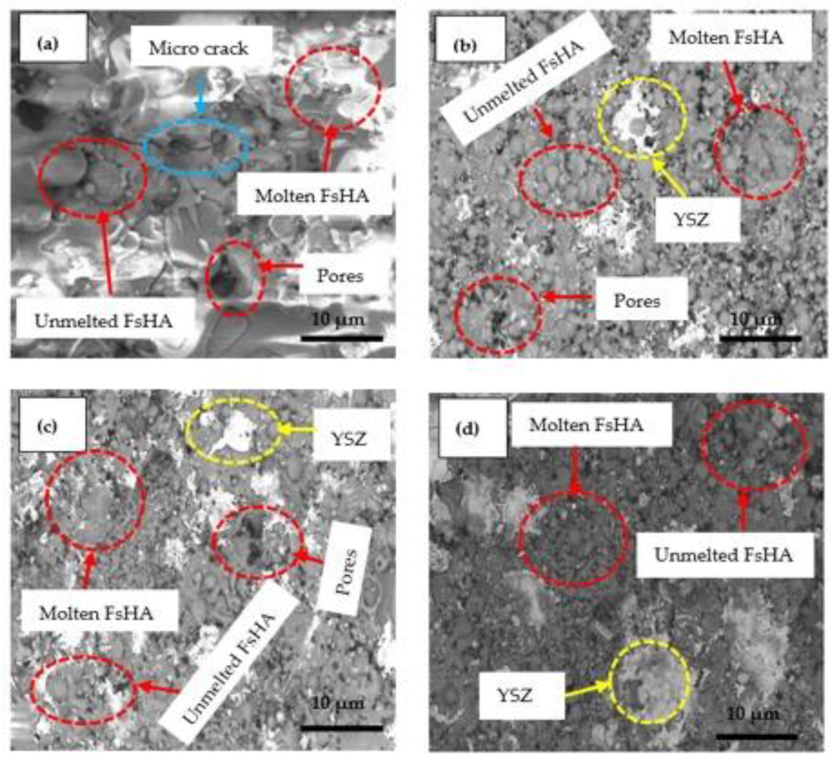 Coatings 13 00199 g006