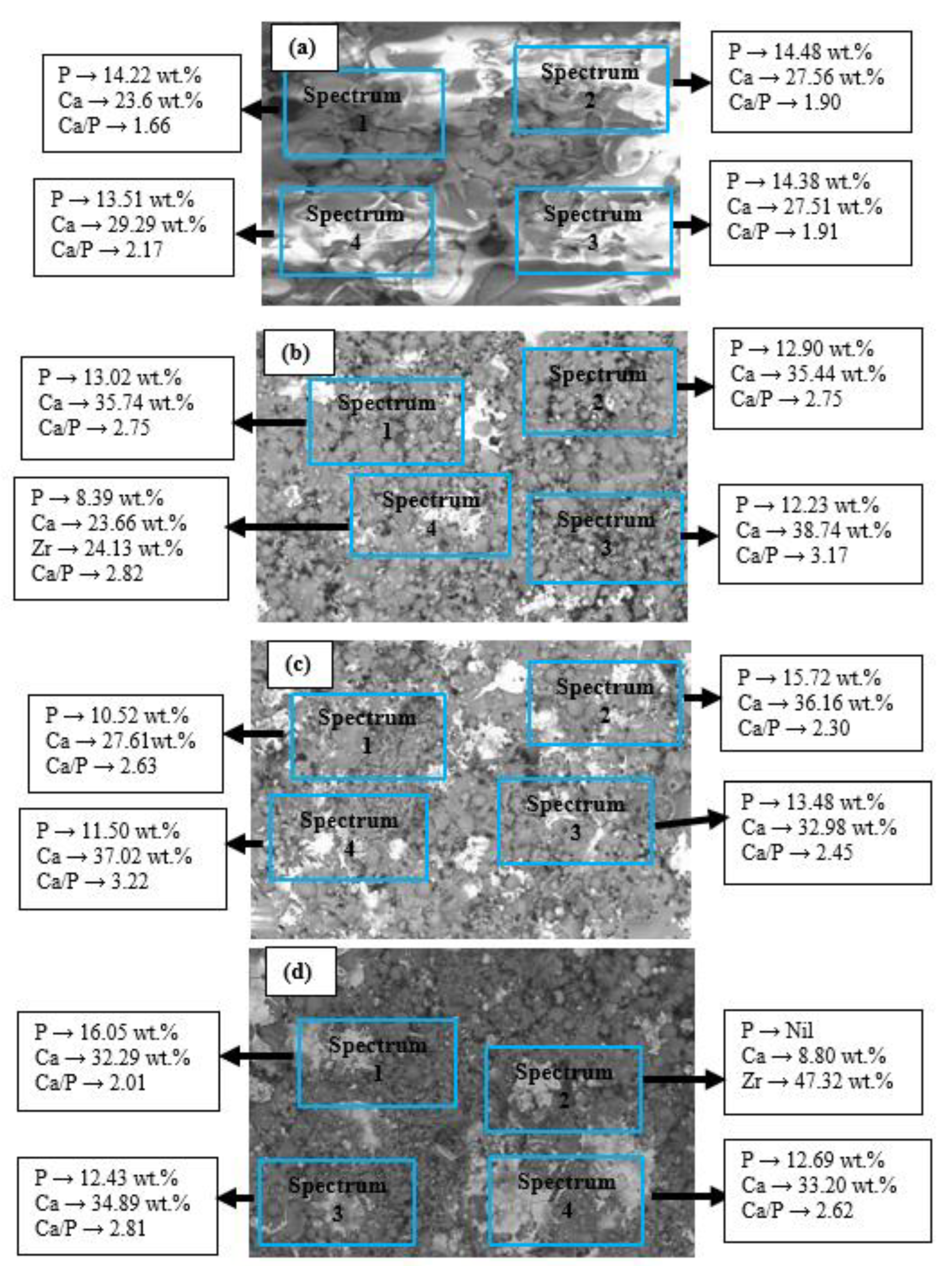 Coatings 13 00199 g007