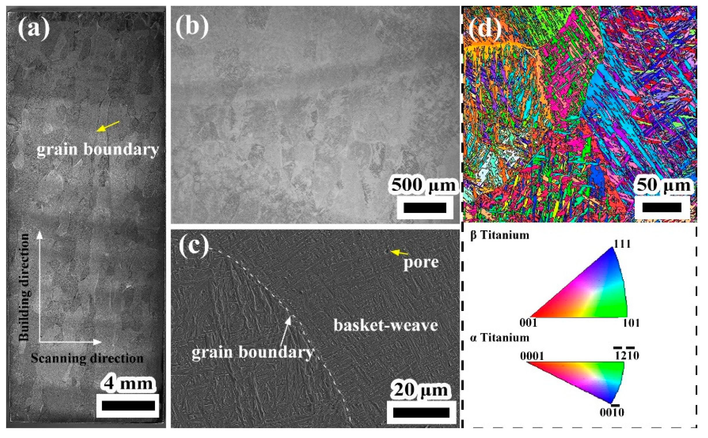 Coatings 13 00202 g007 Coatings 13 00202 g007