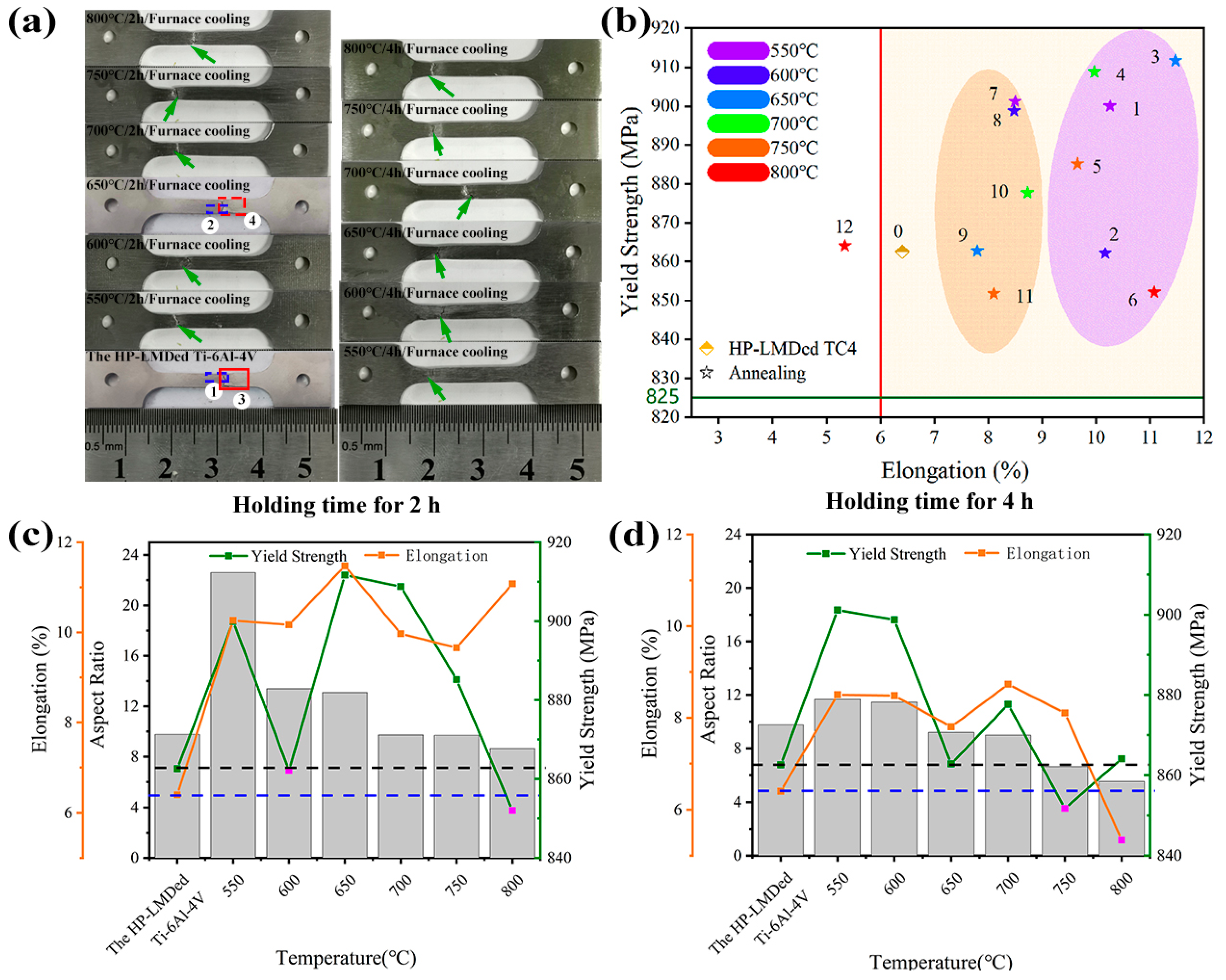 Coatings 13 00202 g013 Coatings 13 00202 g013