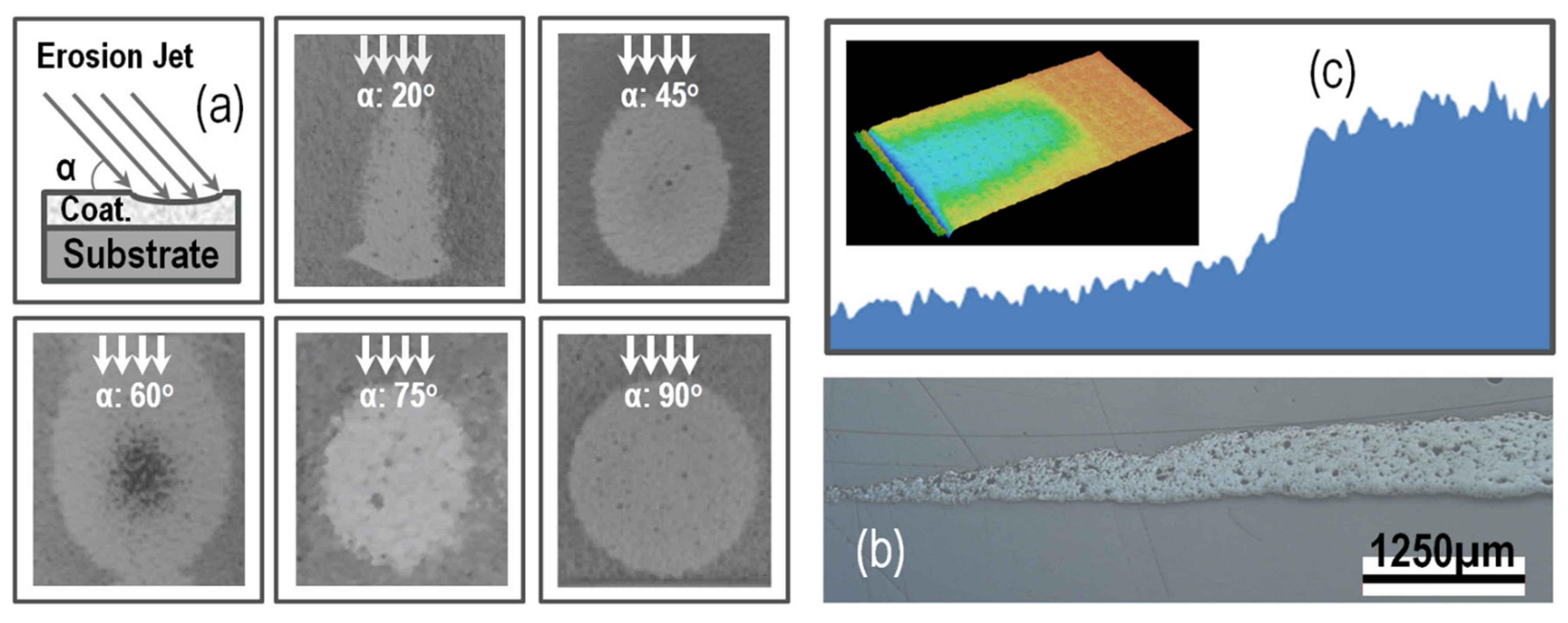 Coatings 13 00210 g010