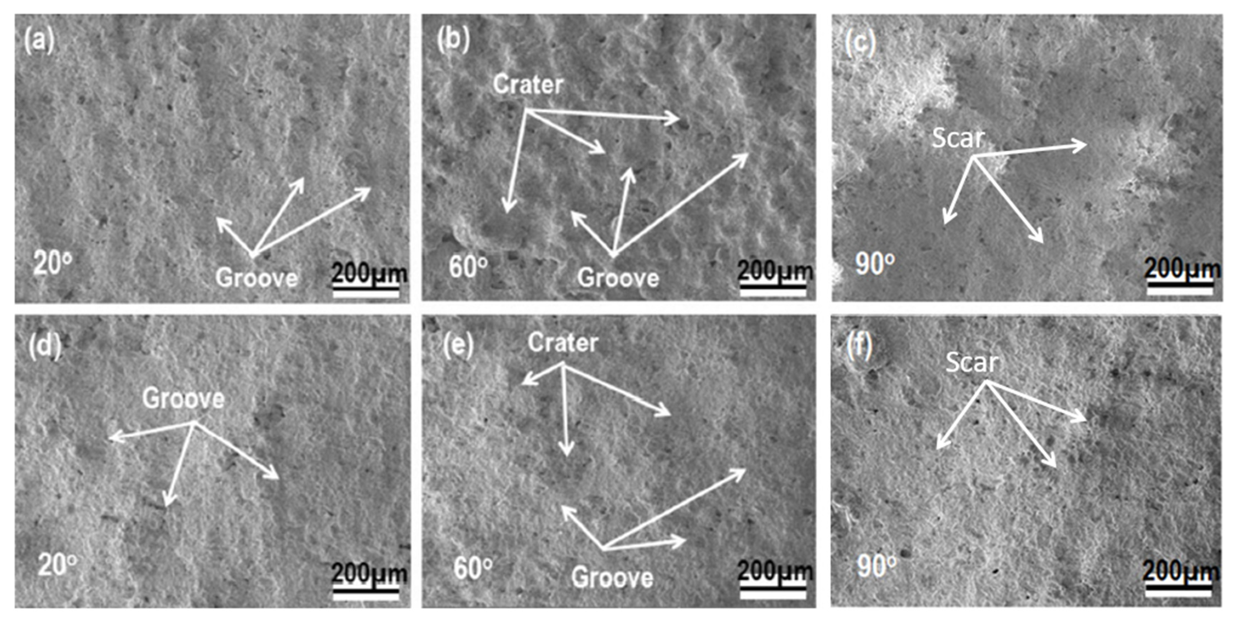 Coatings 13 00210 g012