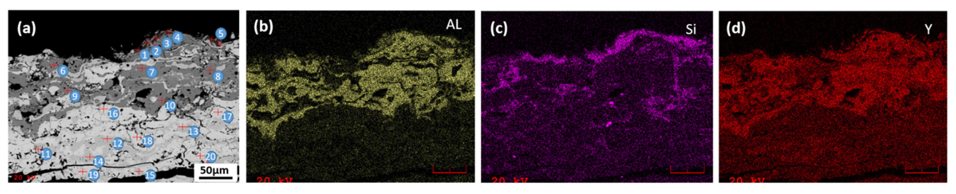 Coatings 13 00210 g014