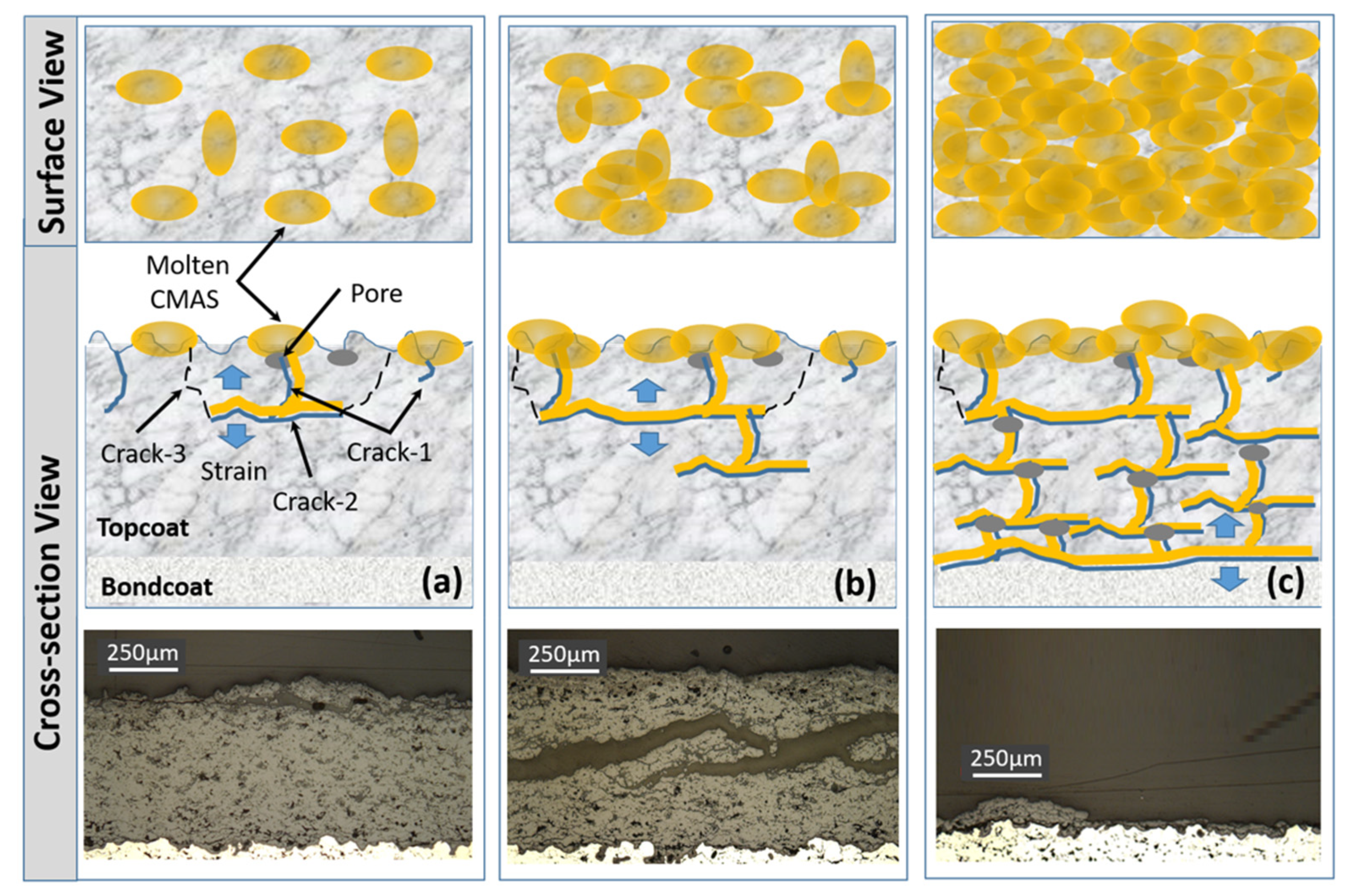 Coatings 13 00210 g015