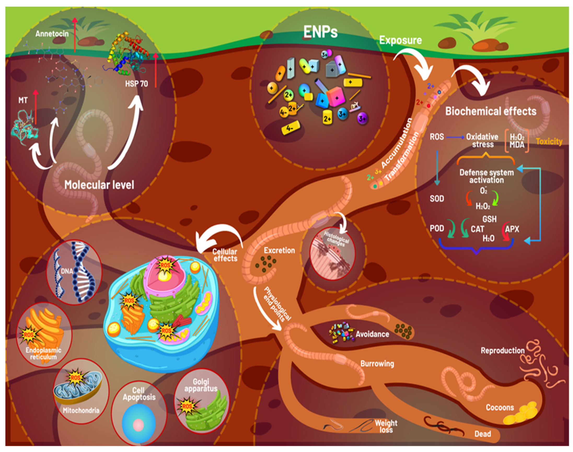 Coatings 13 00212 g003 Coatings 13 00212 g003