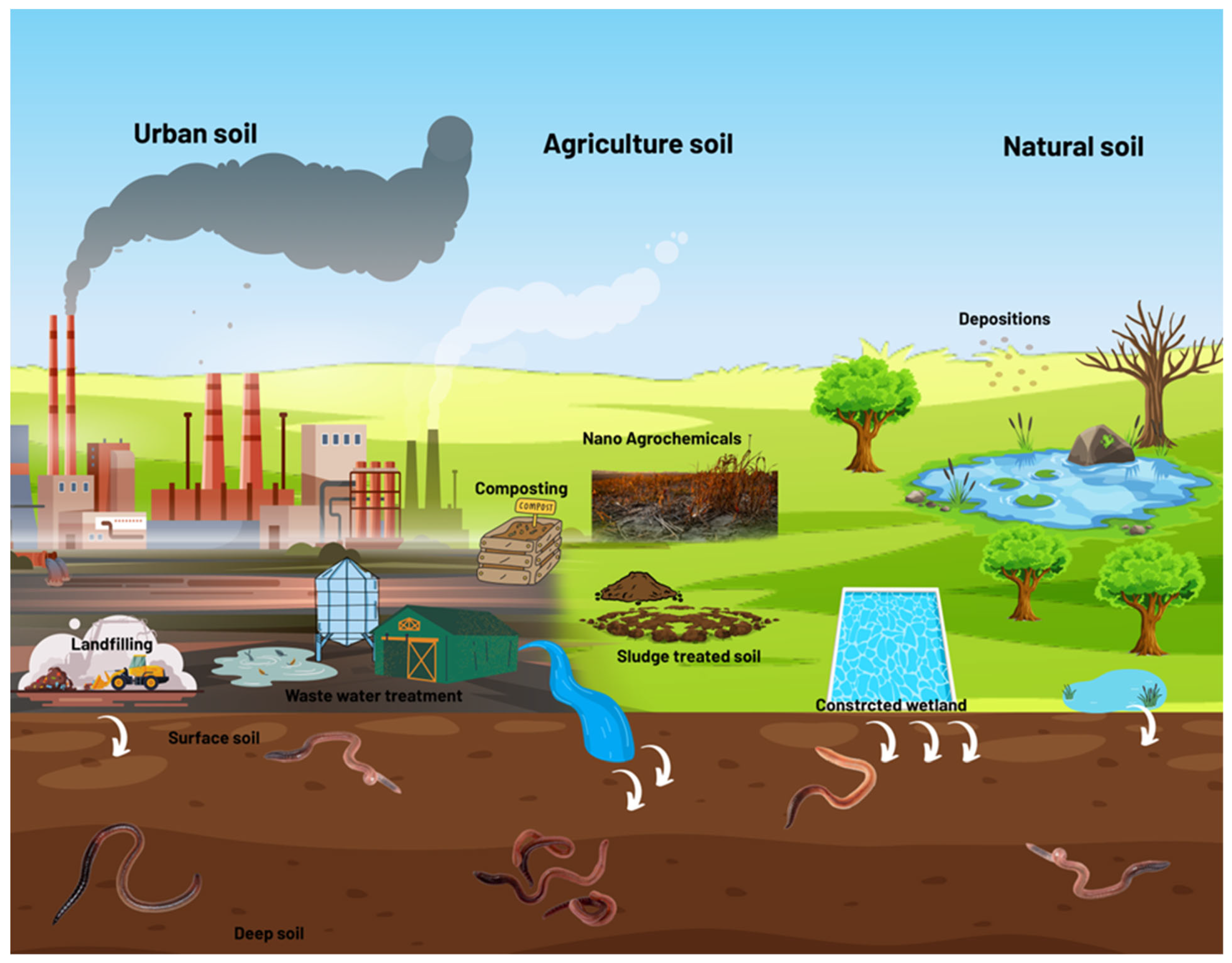 Coatings 13 00212 g004 Coatings 13 00212 g004