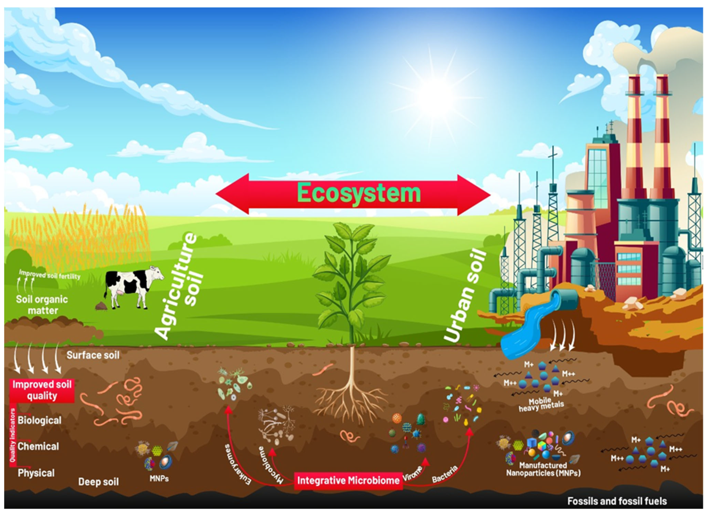 Coatings 13 00212 g005 Coatings 13 00212 g005