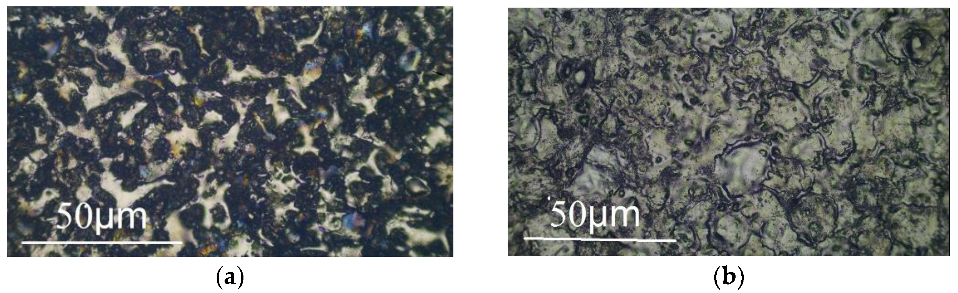 Coatings 13 00215 g001