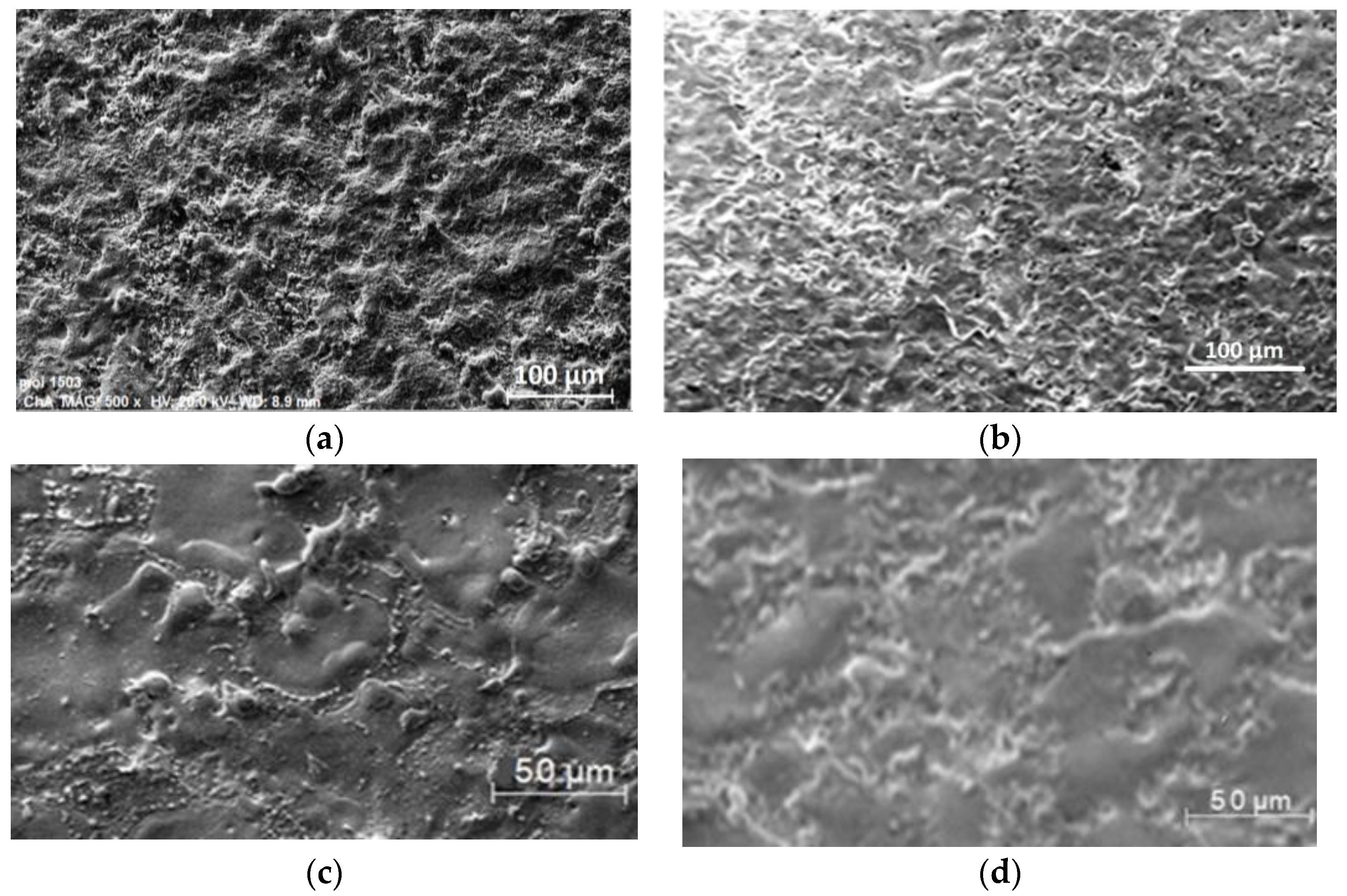 Coatings 13 00215 g002