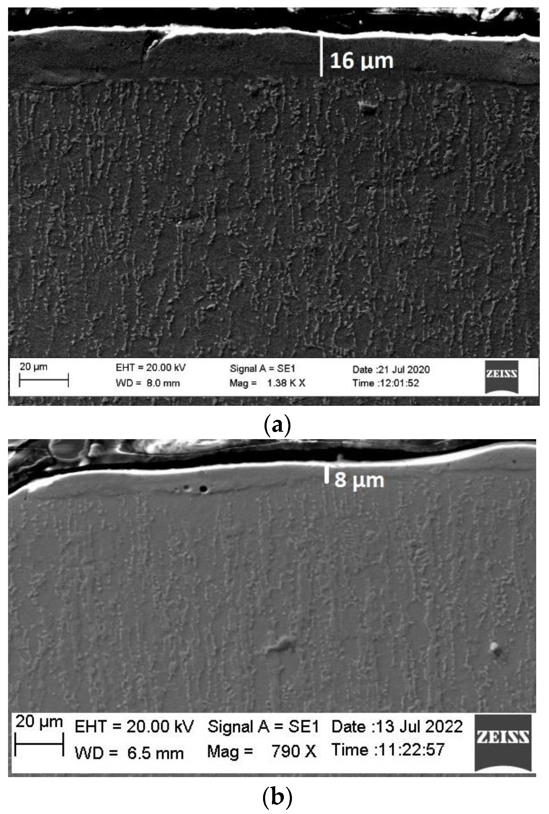 Coatings 13 00215 g003