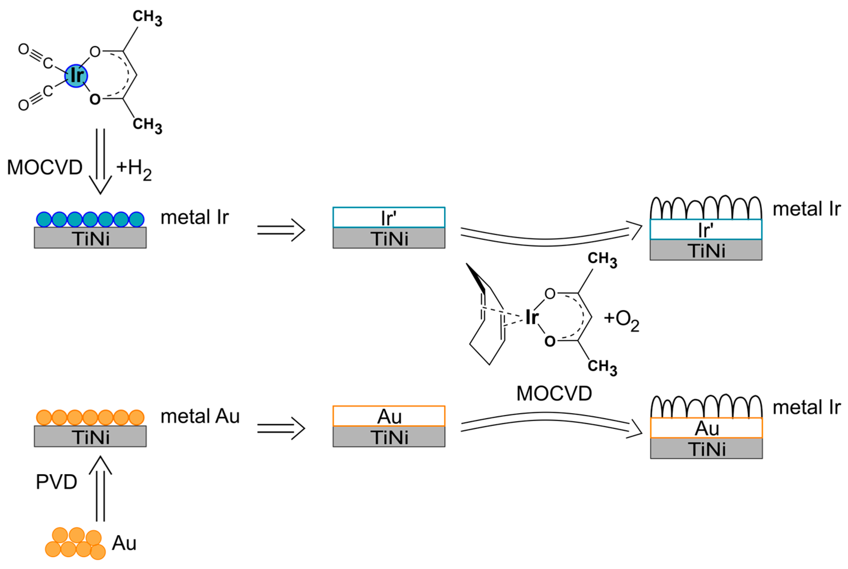 Coatings 13 00222 g001