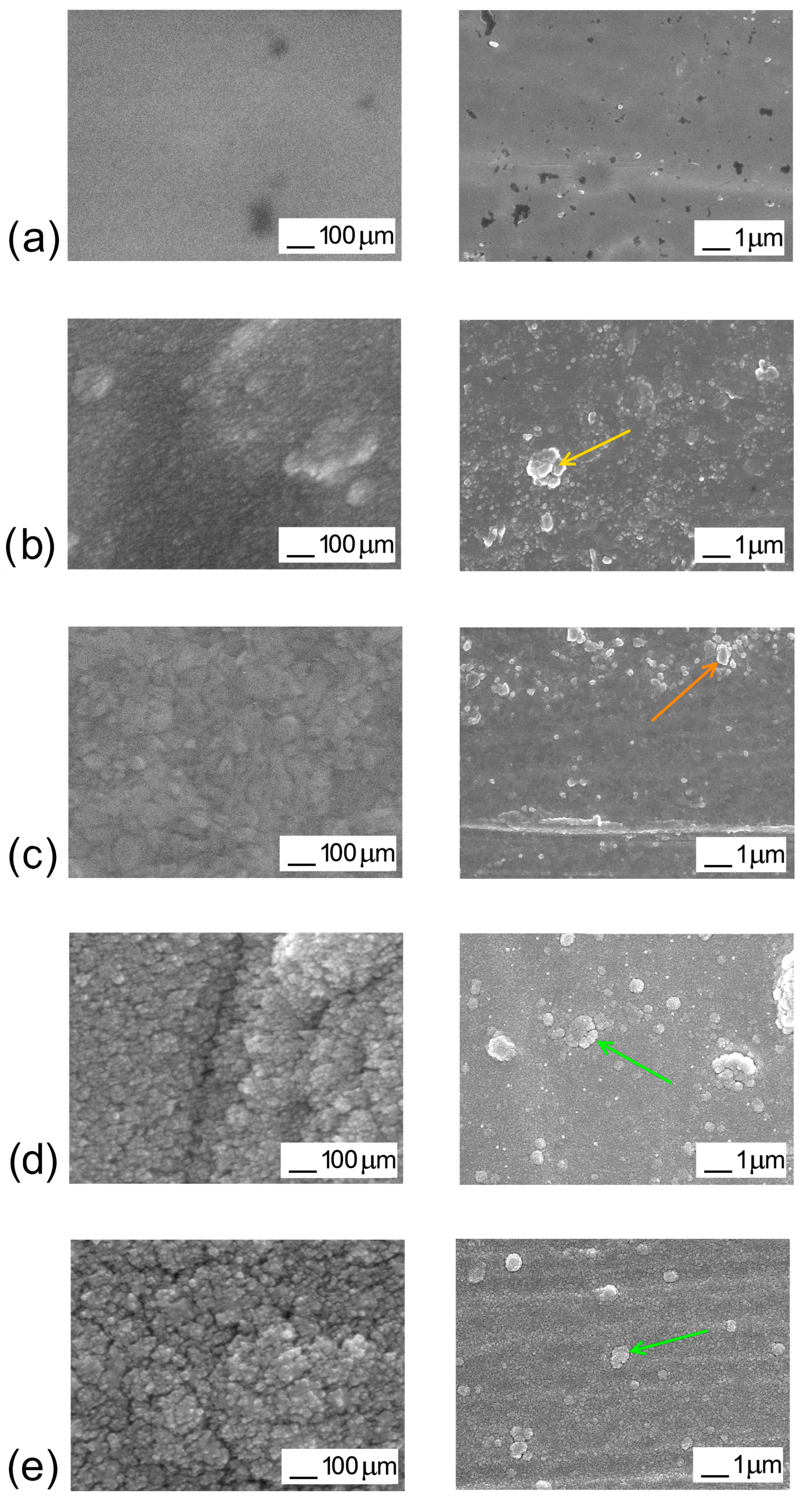 Coatings 13 00222 g006