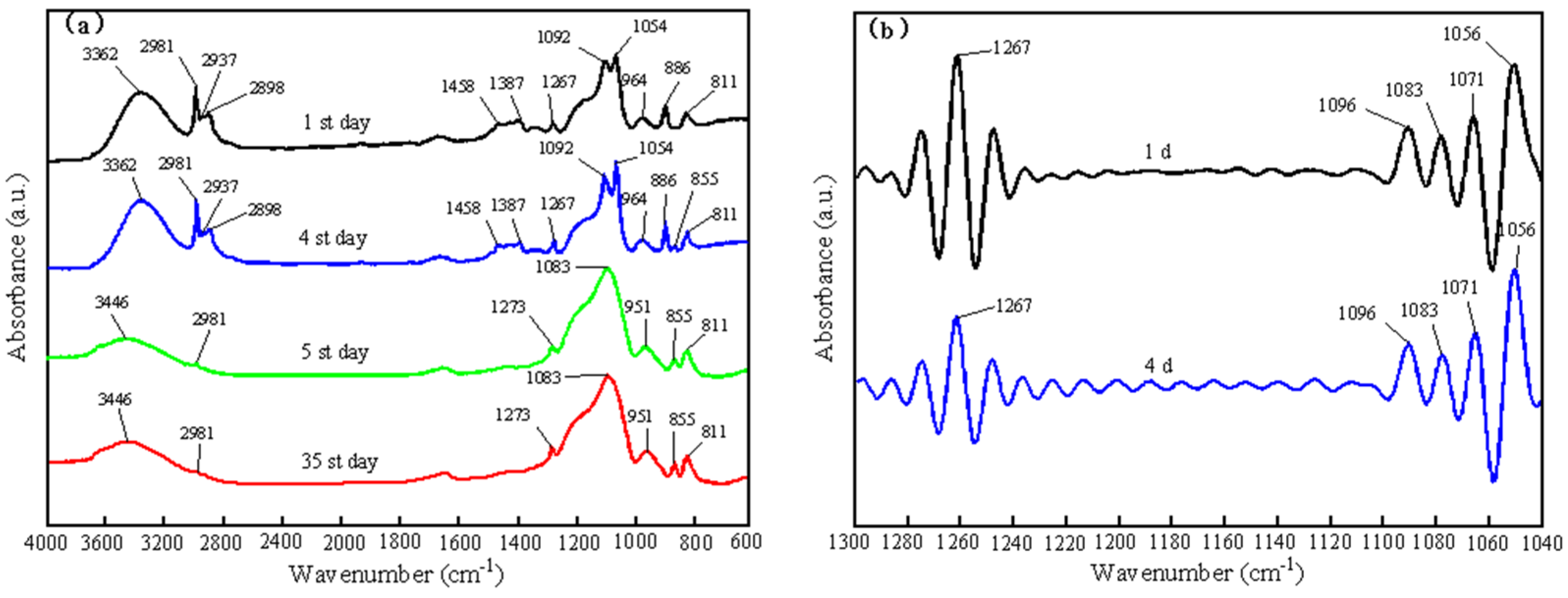 Coatings 13 00224 g004