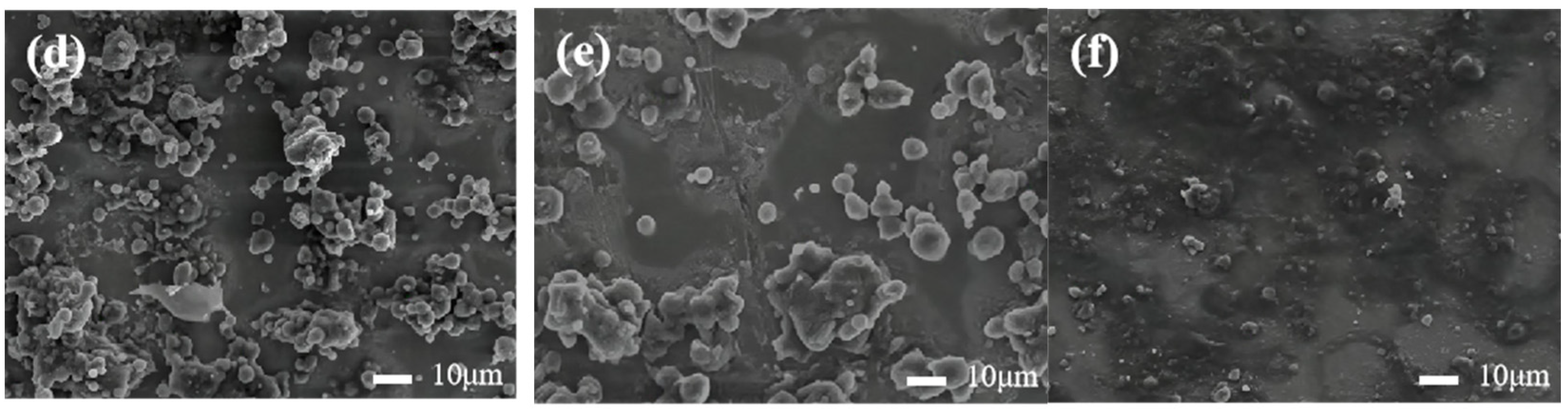Coatings 13 00224 g005b