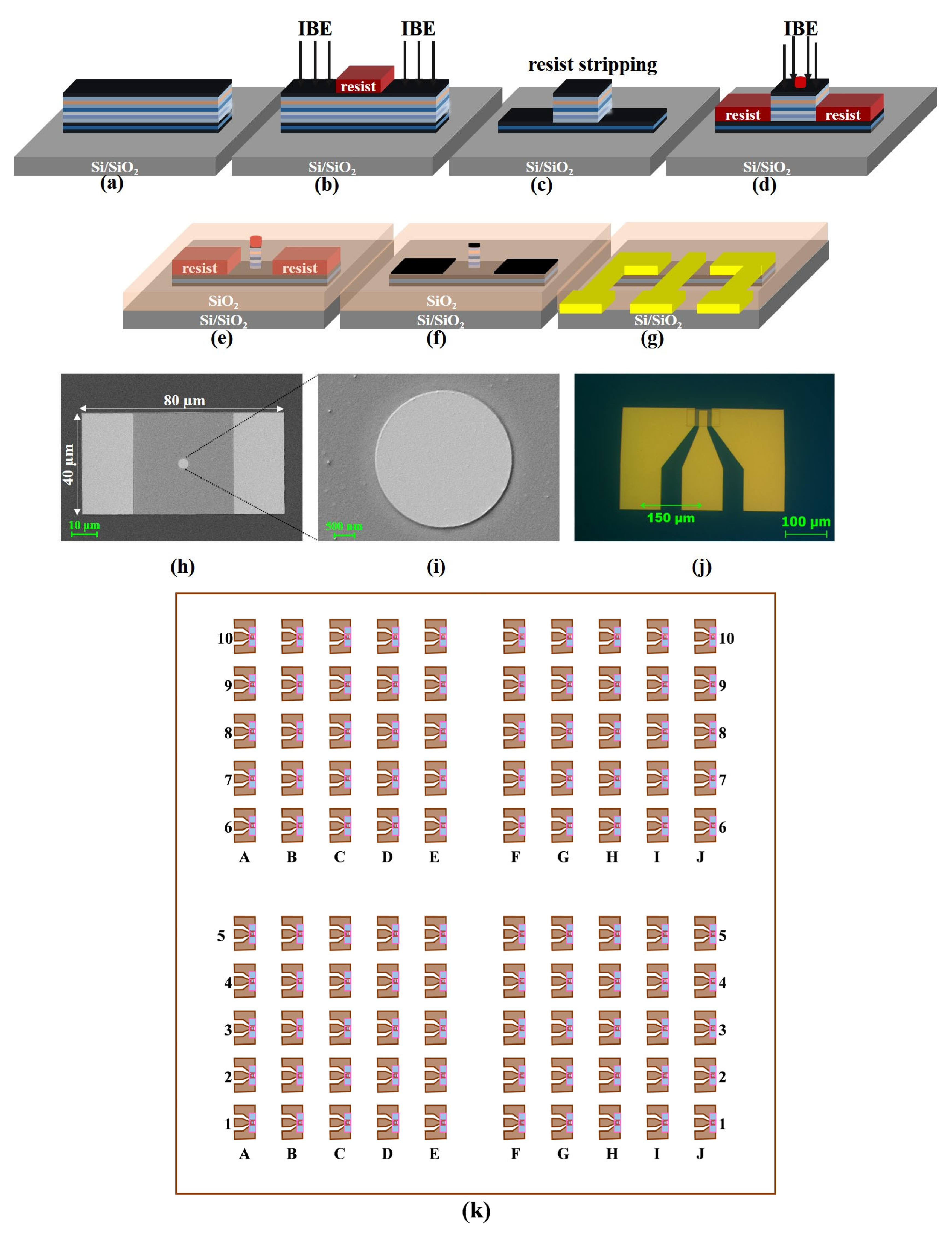 Coatings 13 00227 g002