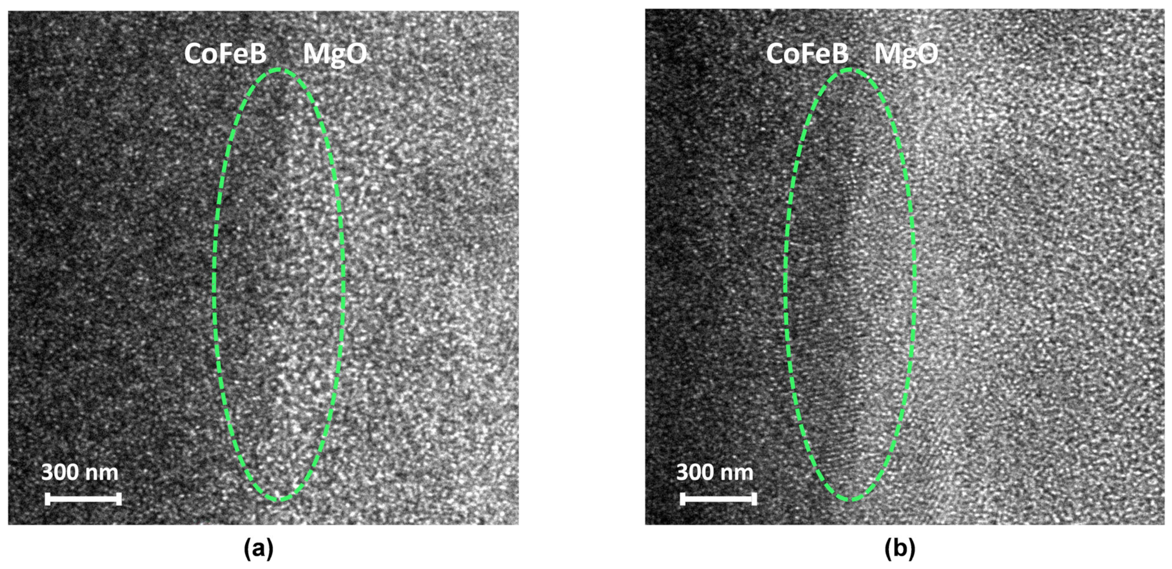 Coatings 13 00227 g003