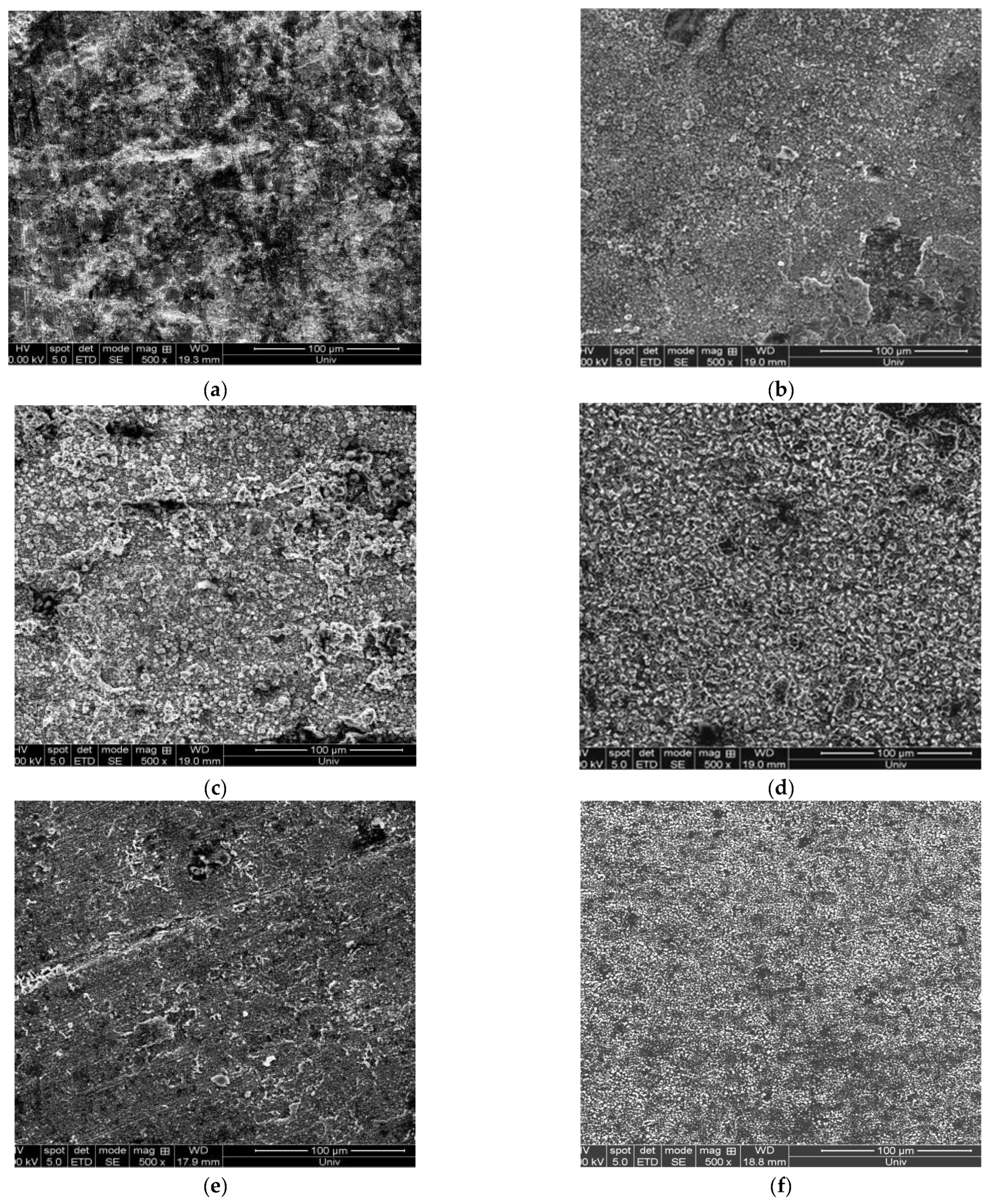 Coatings 13 00234 g006