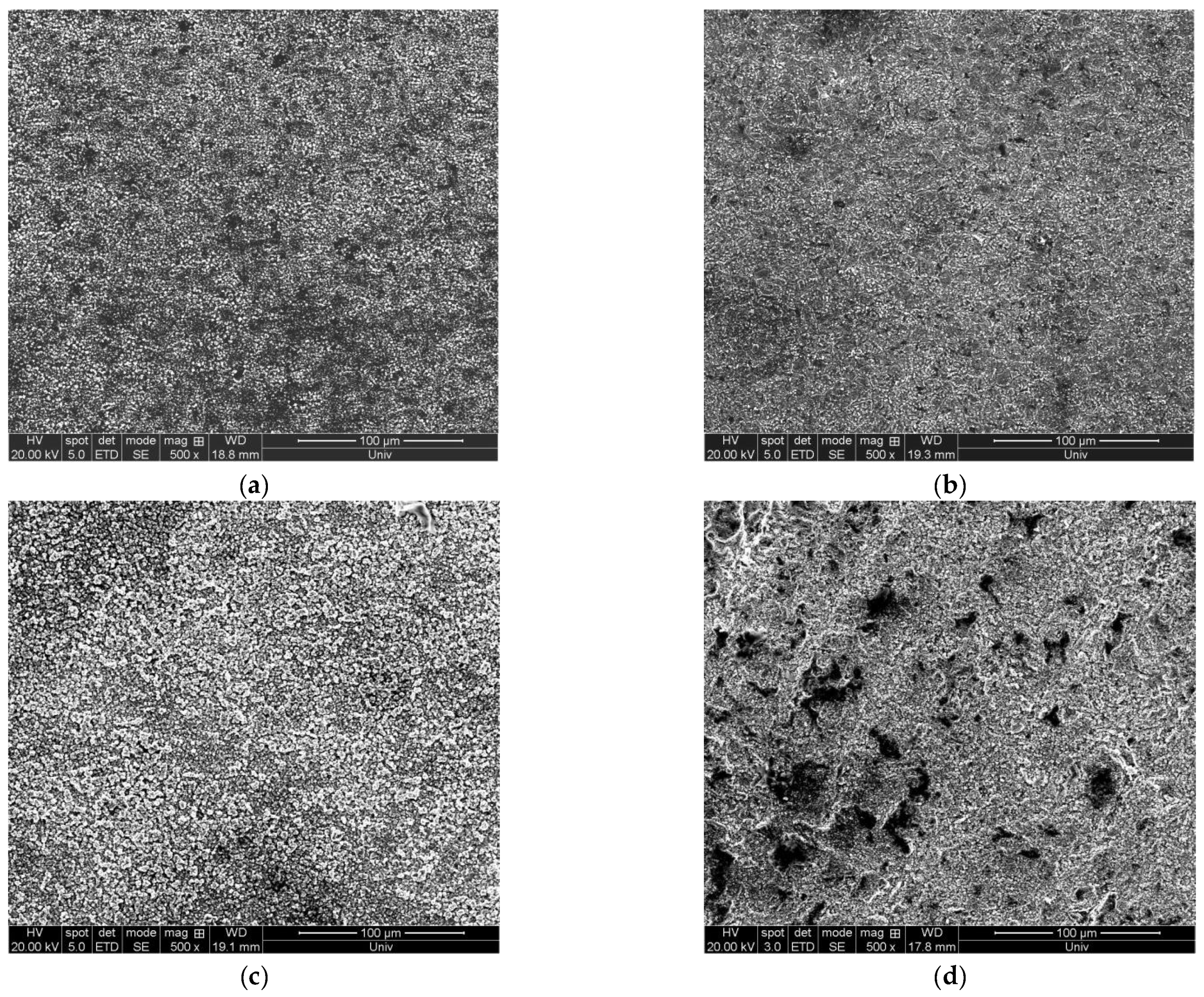 Coatings 13 00234 g013