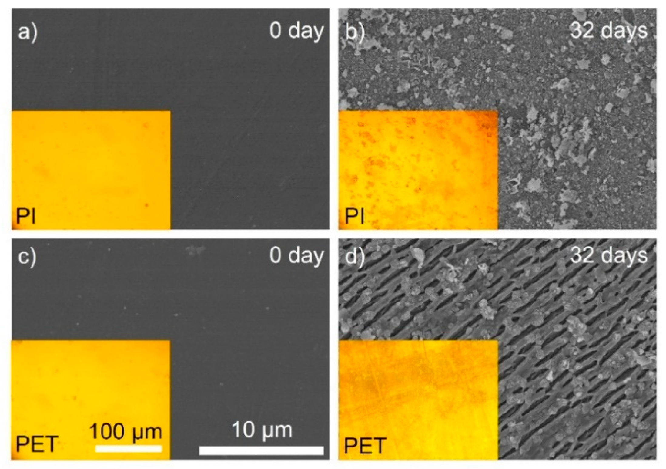 Coatings 13 00253 g001 Coatings 13 00253 g001