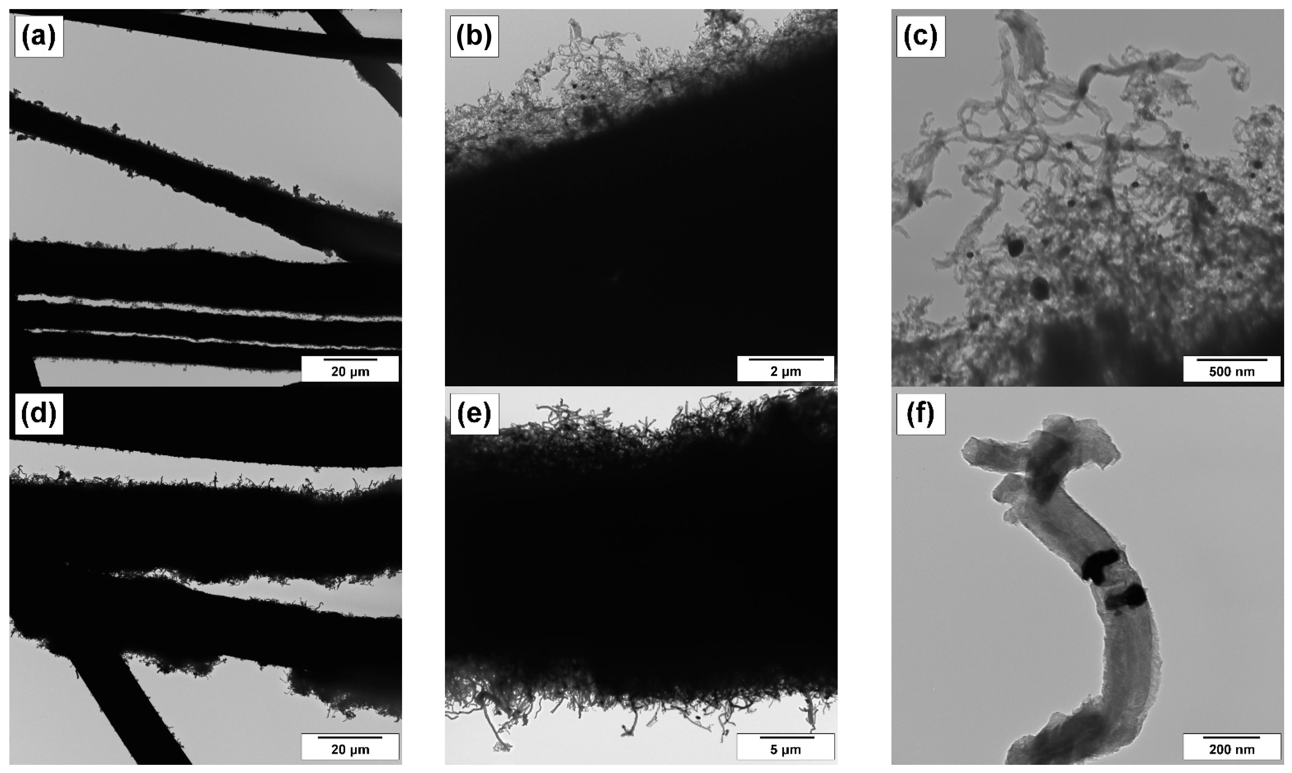 Coatings 13 00256 g004