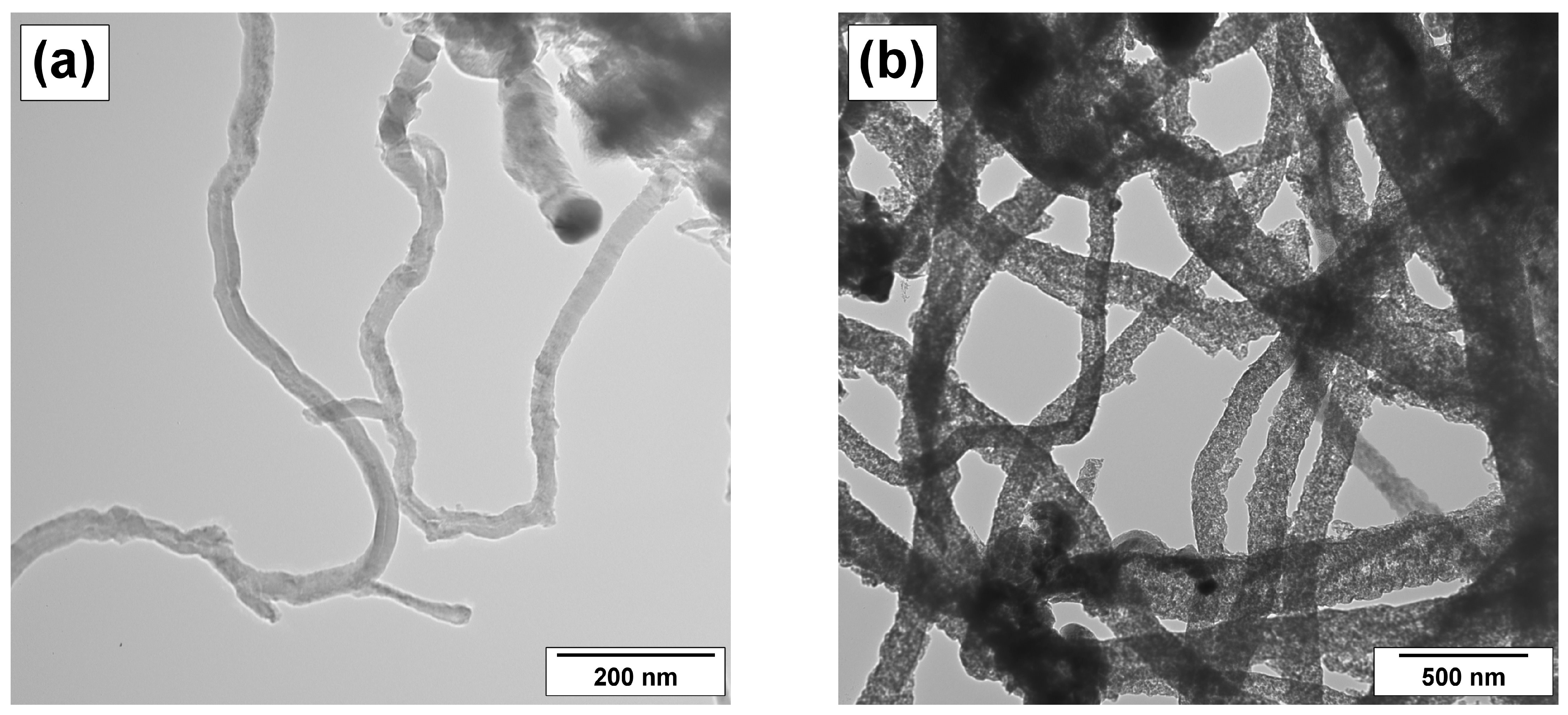 Coatings 13 00256 g005