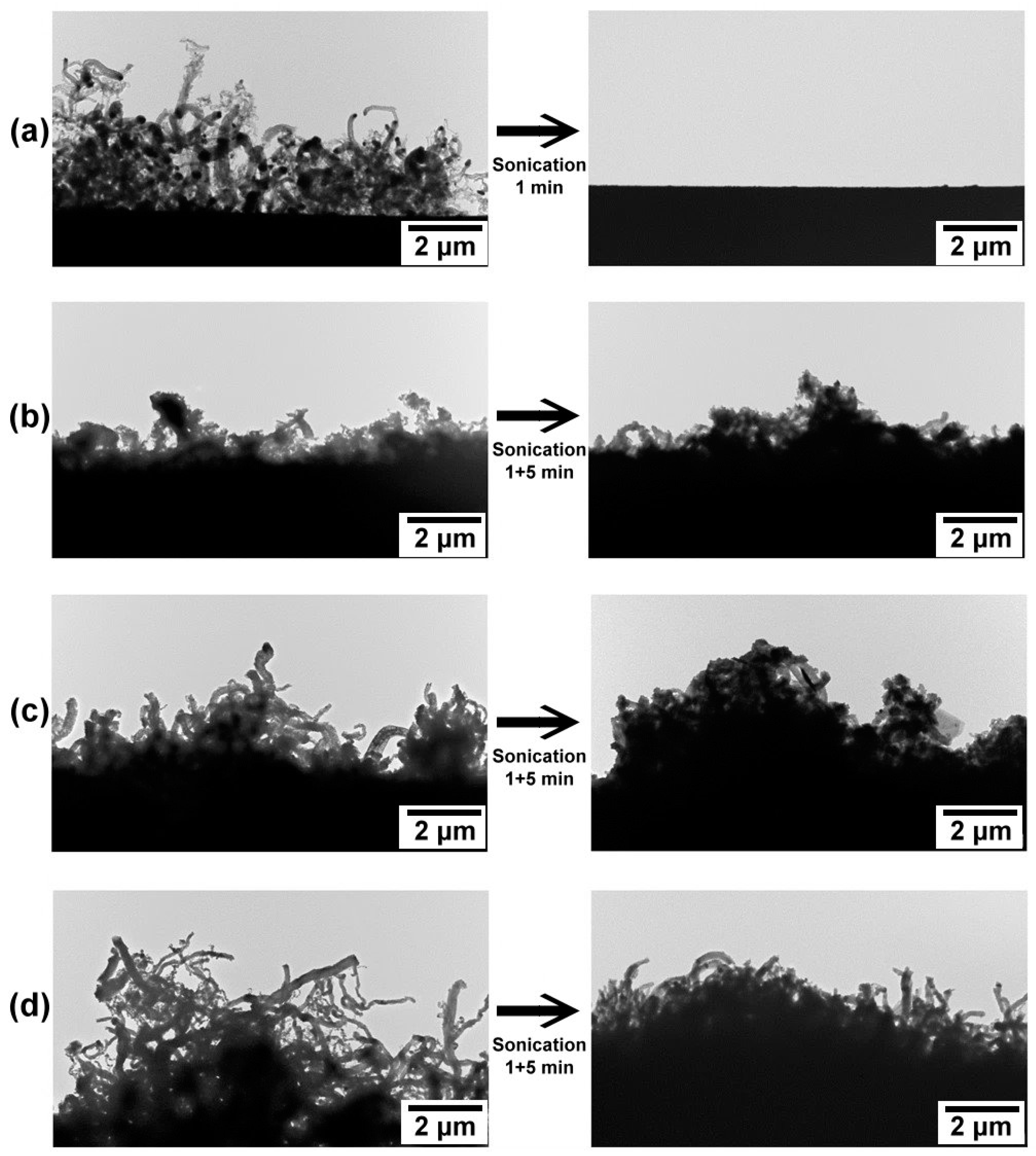 Coatings 13 00256 g006