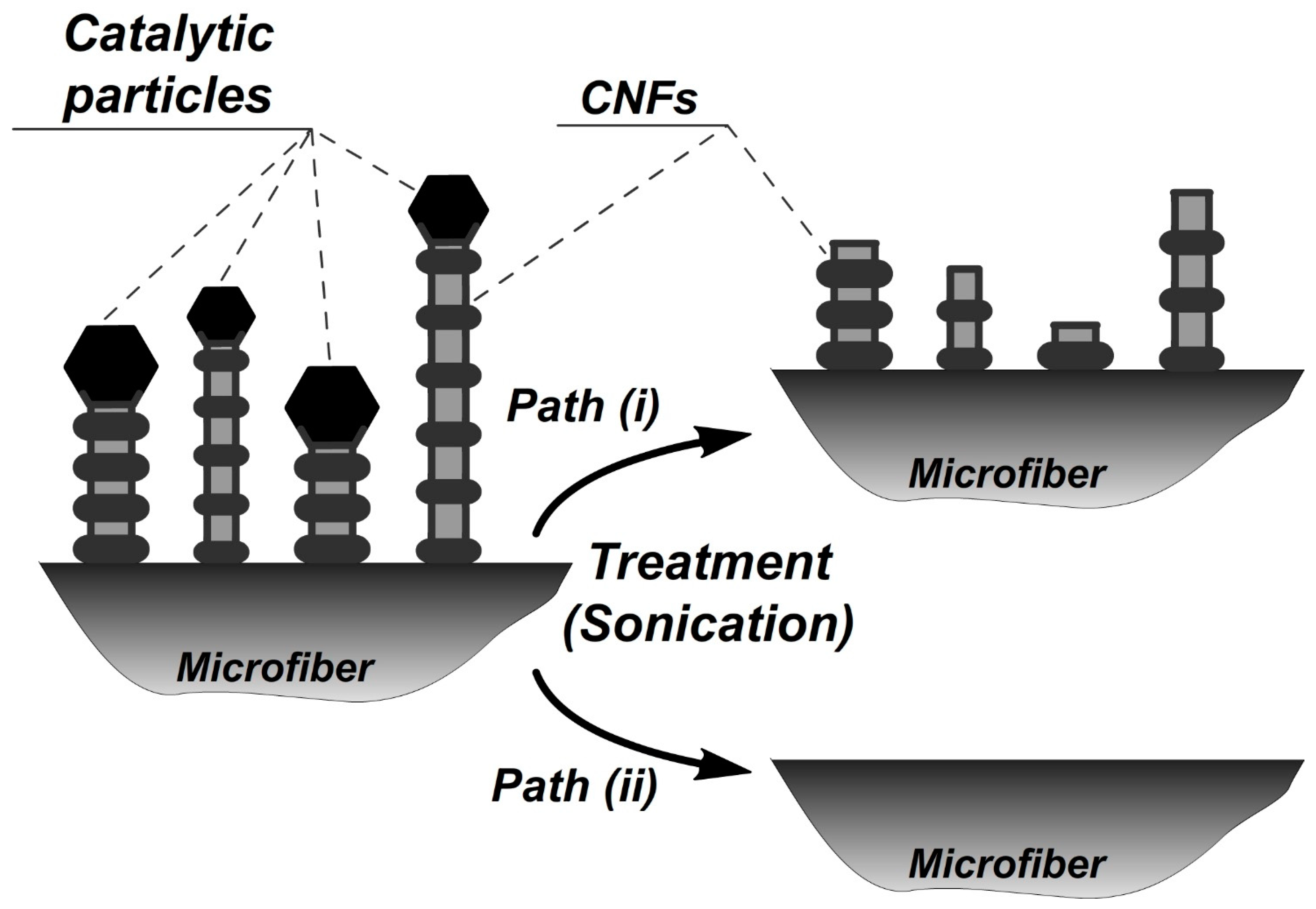 Coatings 13 00256 g007
