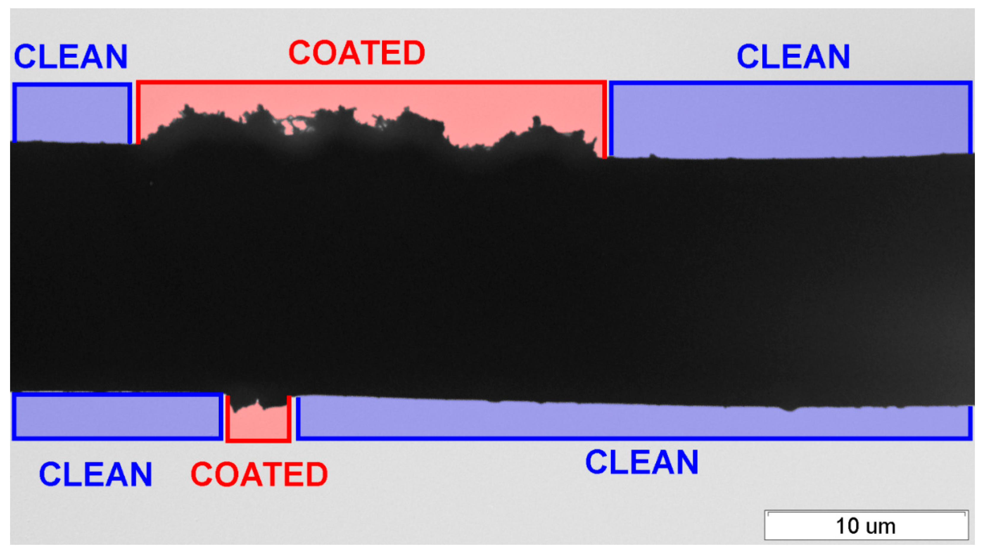 Coatings 13 00256 g009