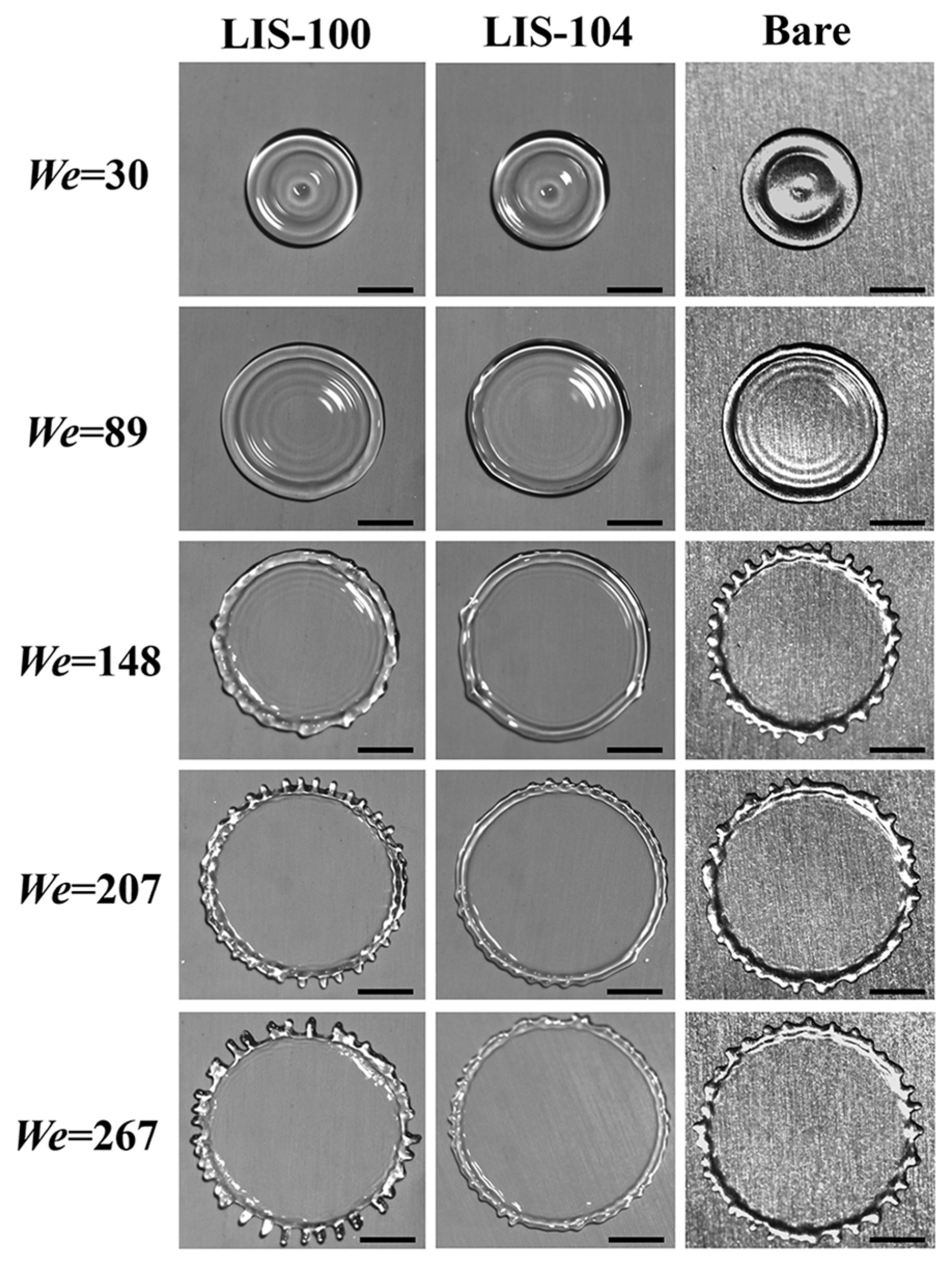 Coatings 13 00264 g005 Coatings 13 00264 g005