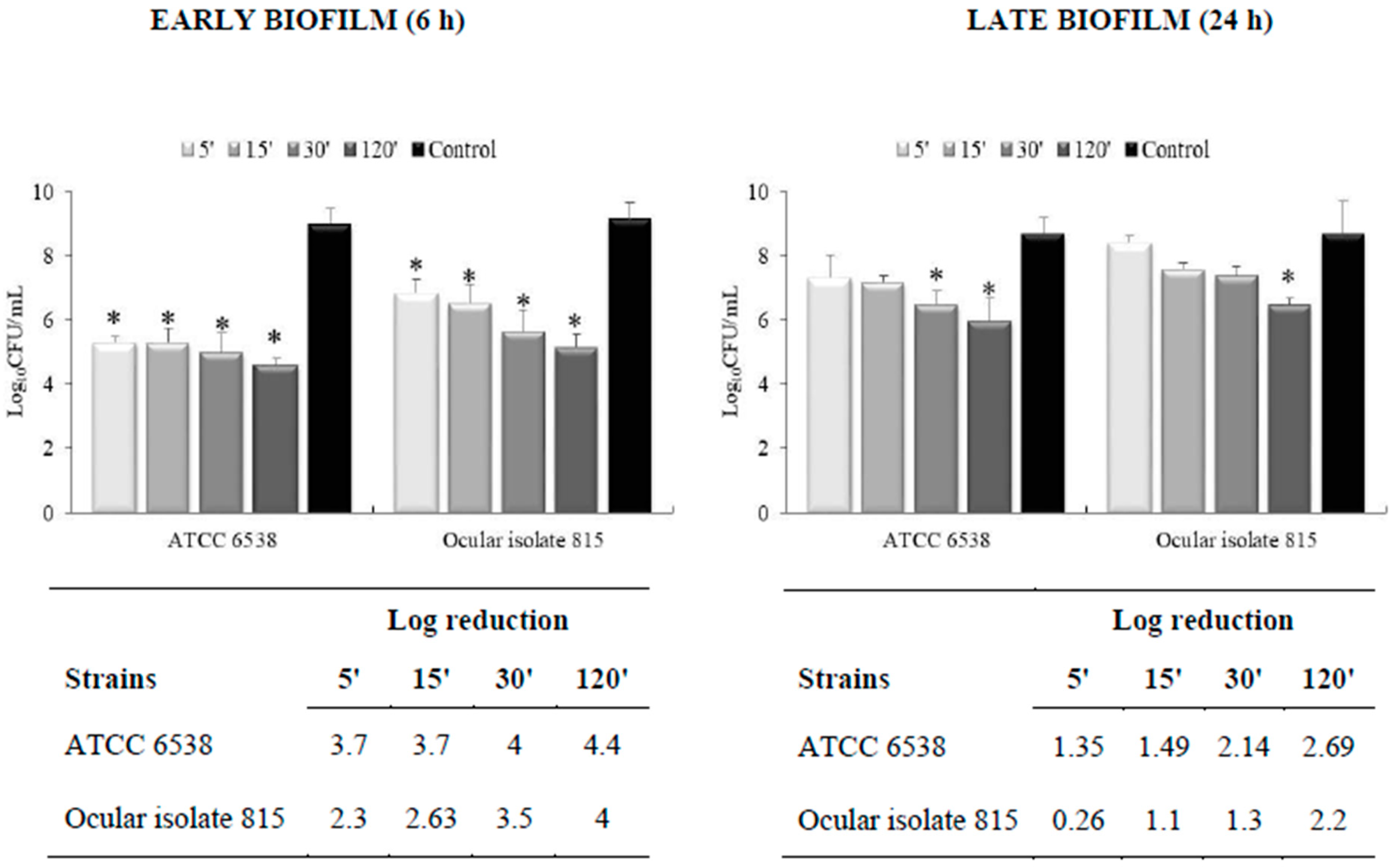 Coatings 13 00265 g001