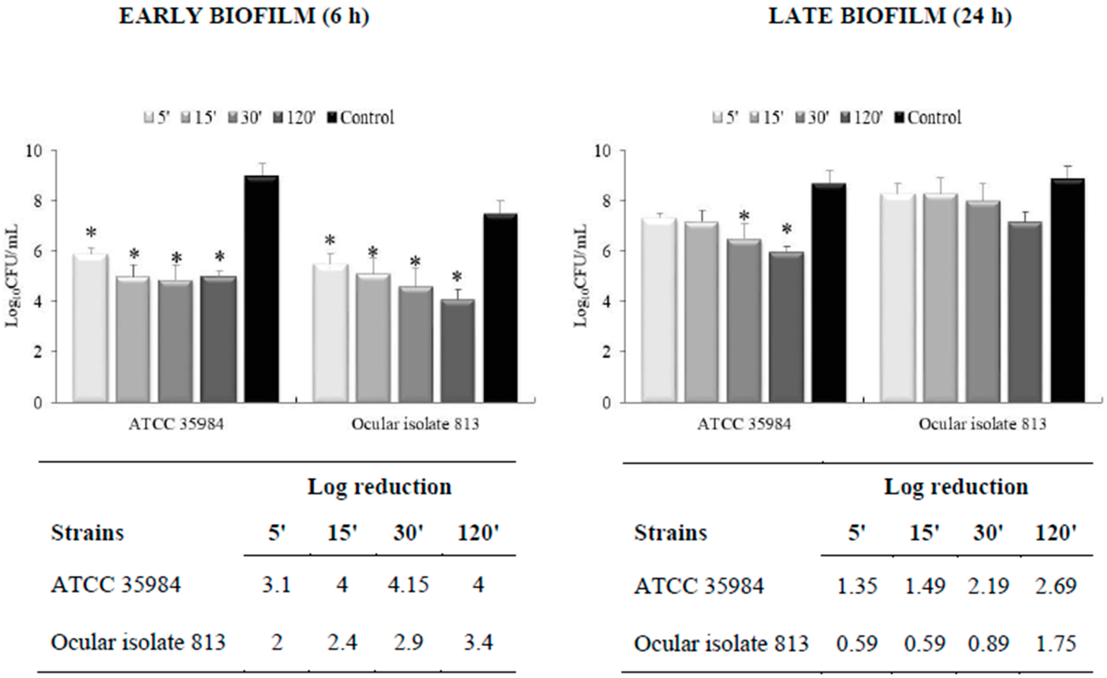 Coatings 13 00265 g002