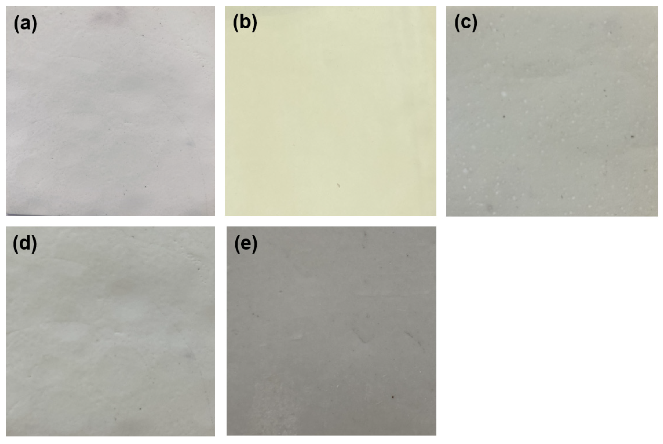 Coatings 13 00272 g003