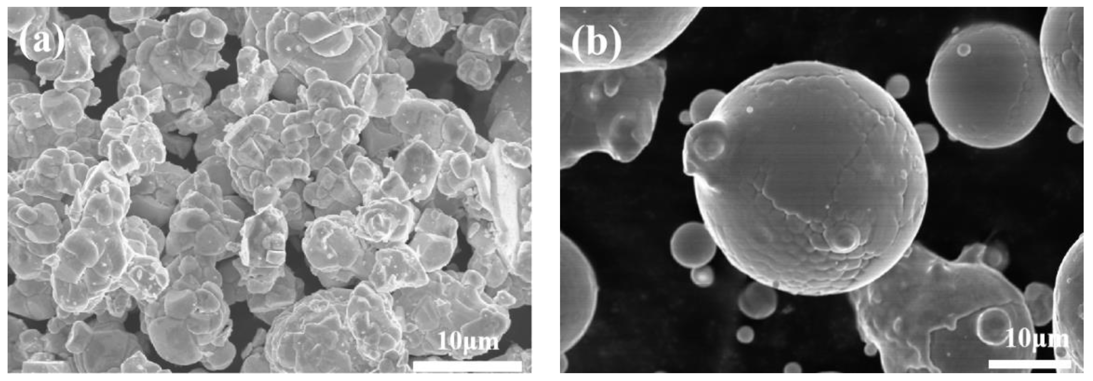 Coatings 13 00273 g001
