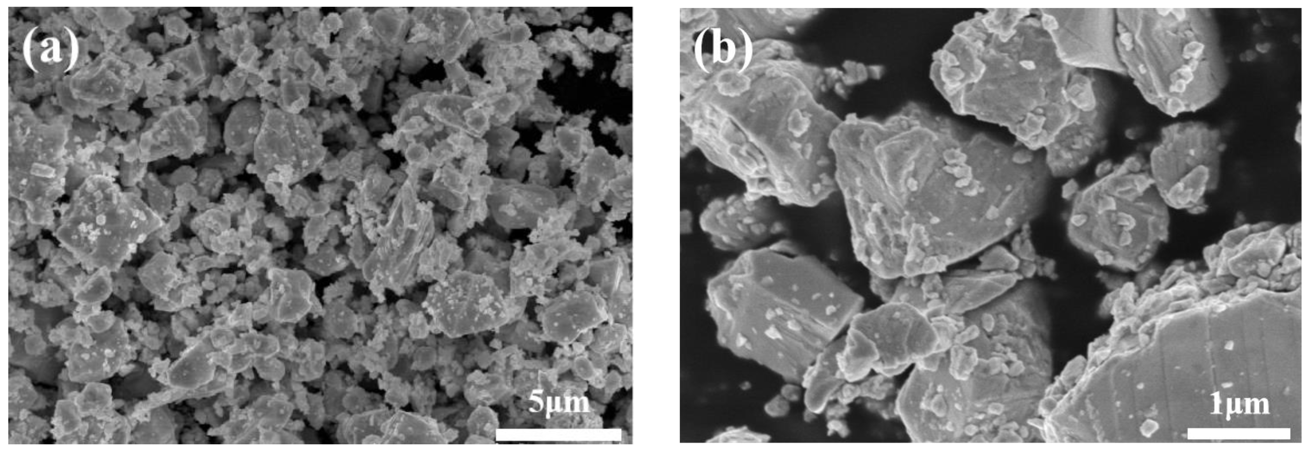 Coatings 13 00273 g004