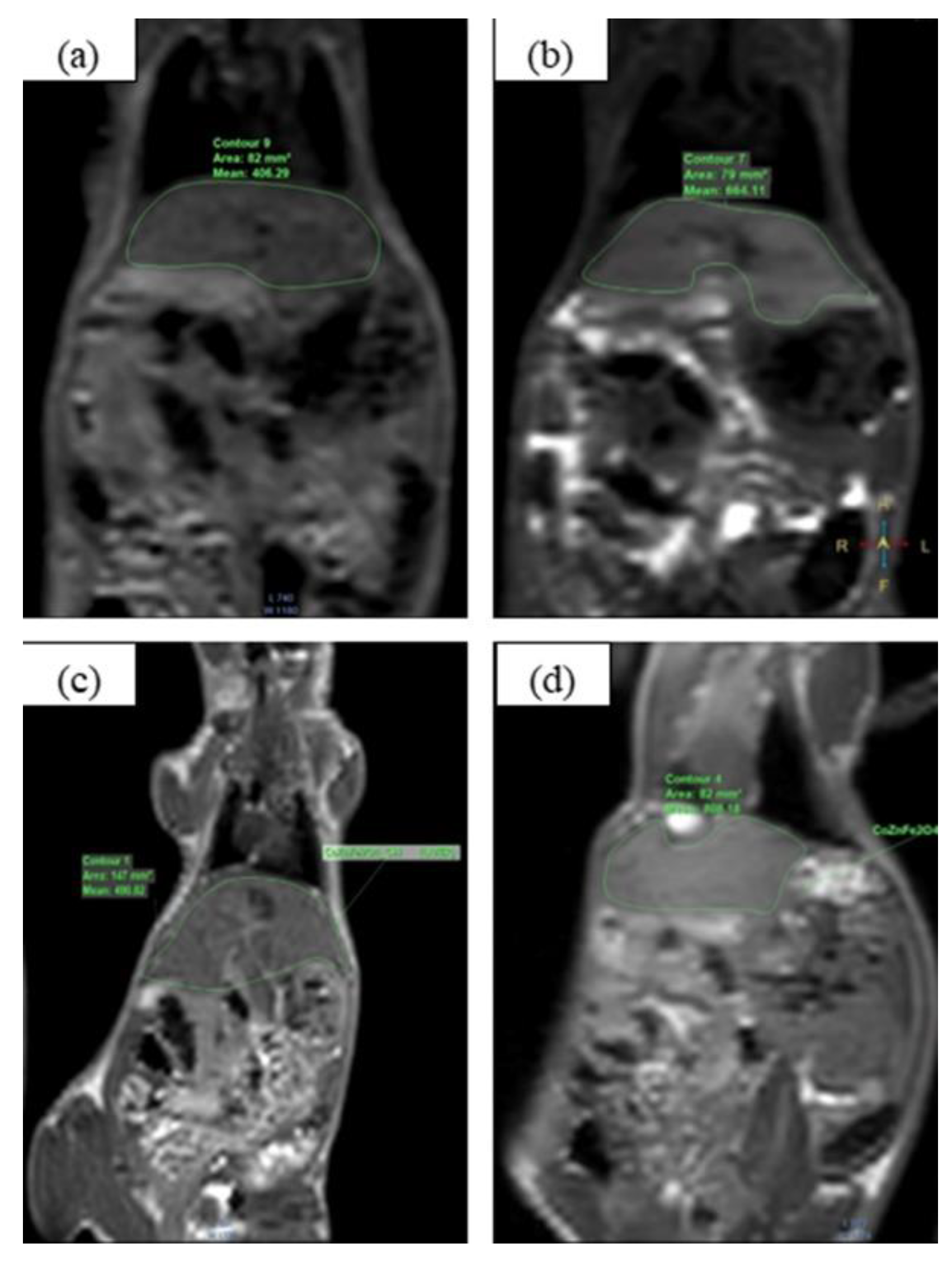 Coatings 13 00276 g007