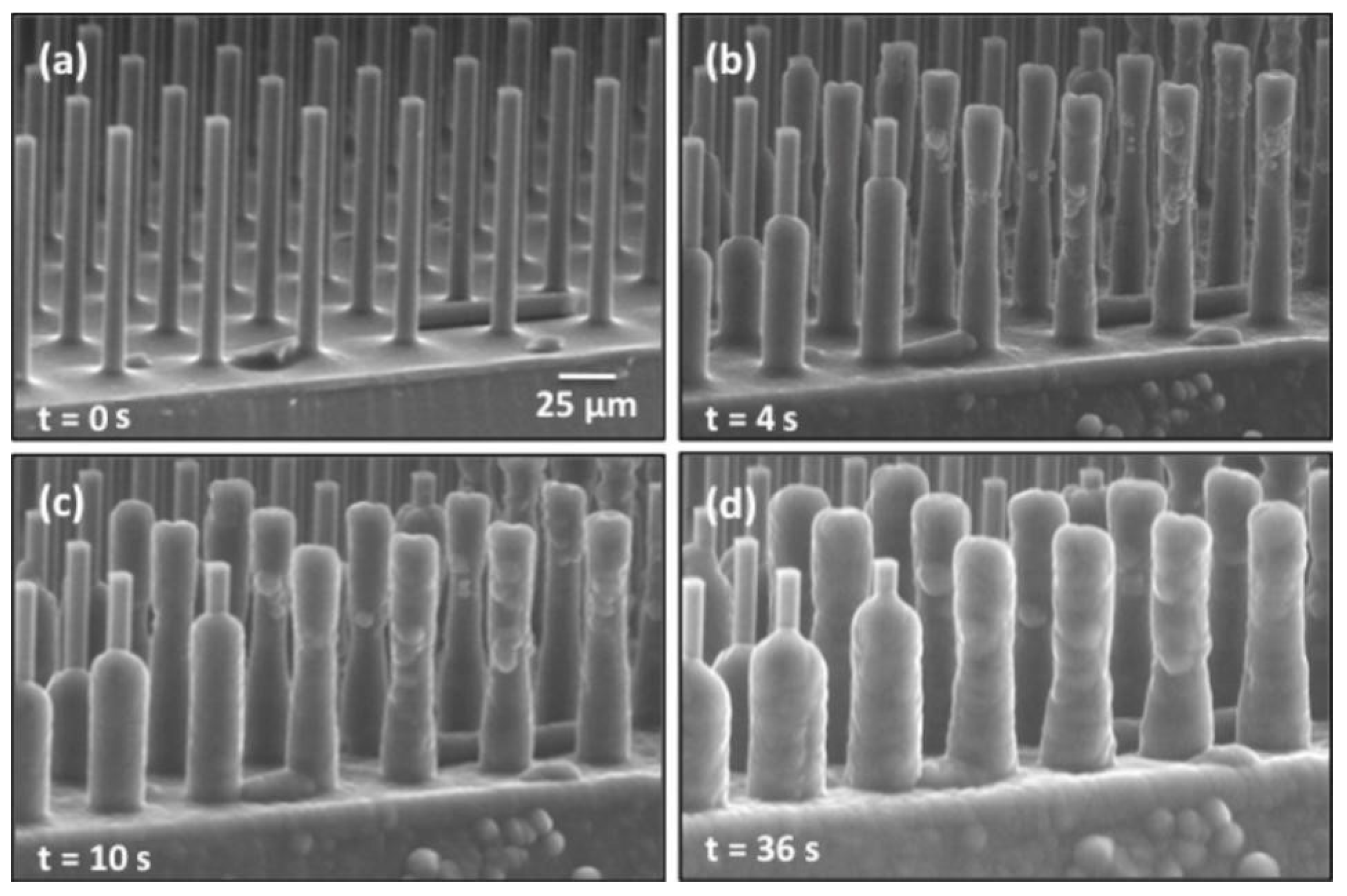 Coatings 13 00301 g005