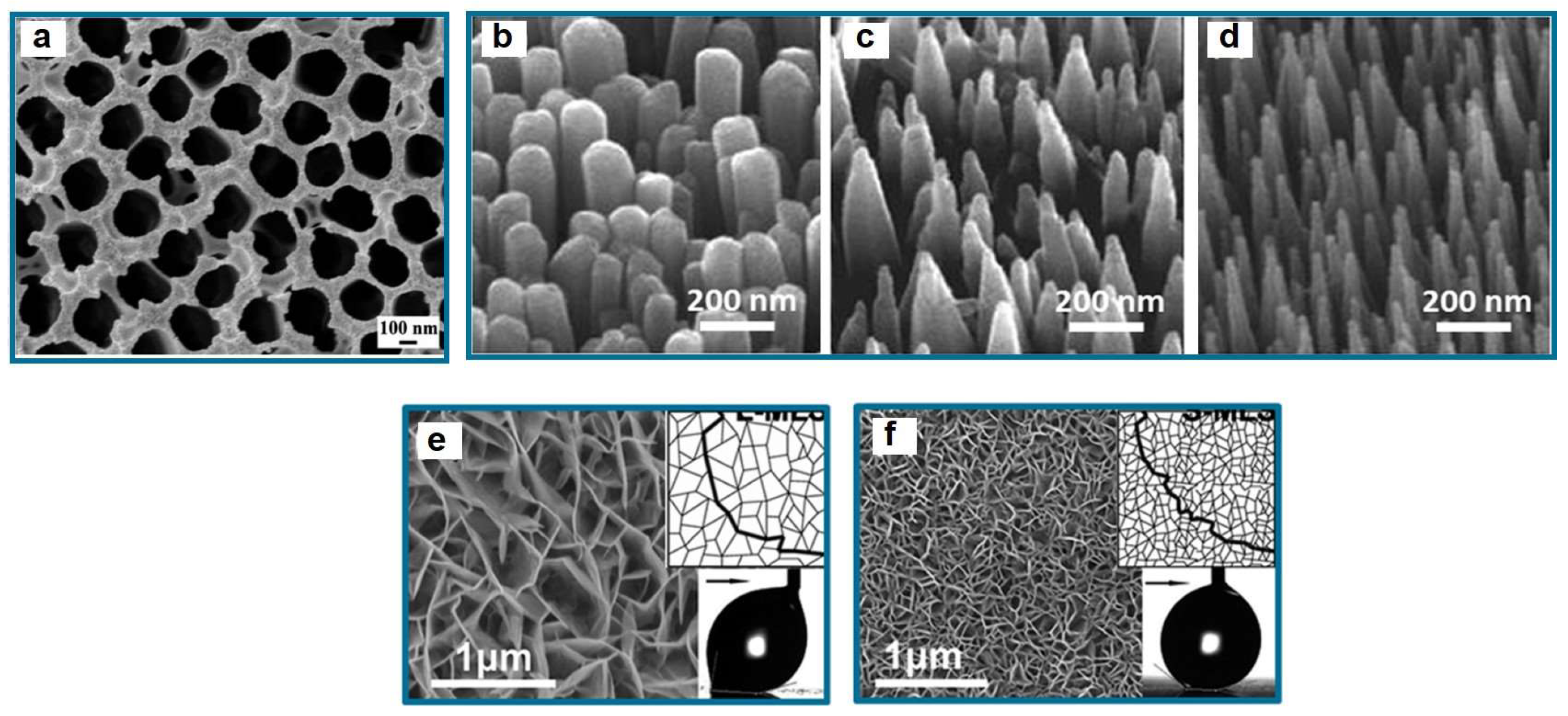 Coatings 13 00301 g008