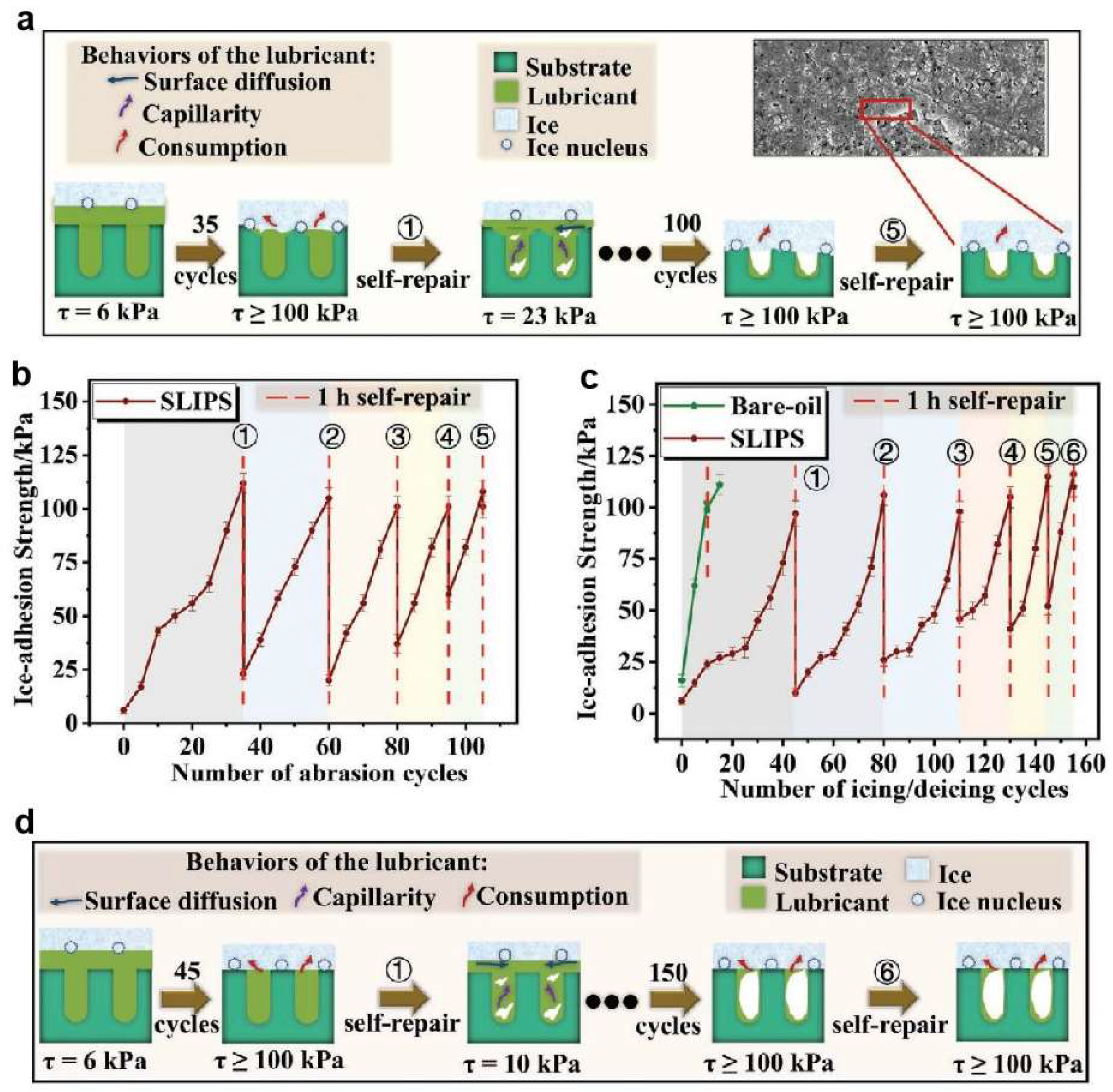 Coatings | Free Full-Text | A Review On Superhydrophobic Surface With ...