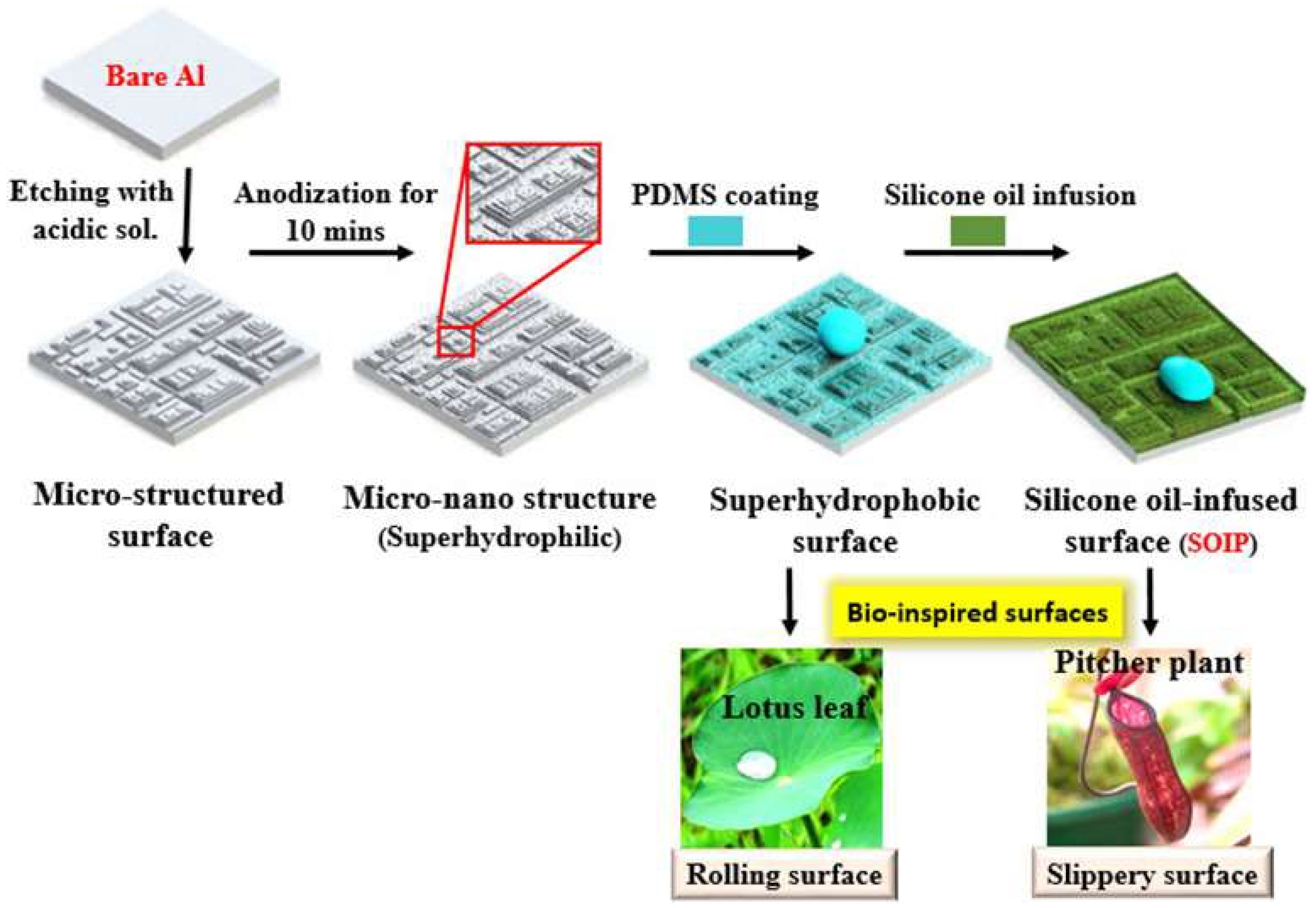 Coatings 13 00301 g012
