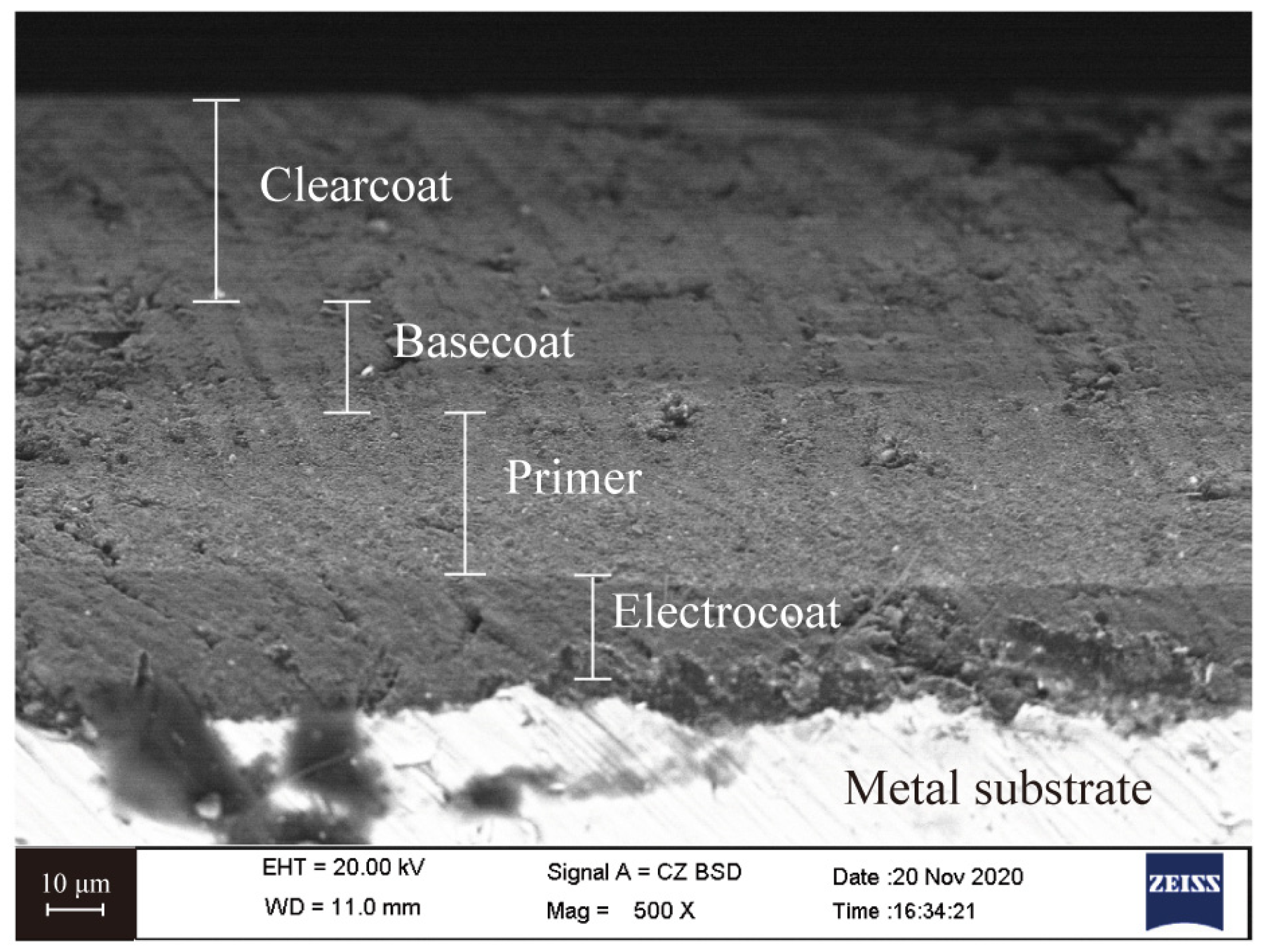 Coatings 13 00309 g001