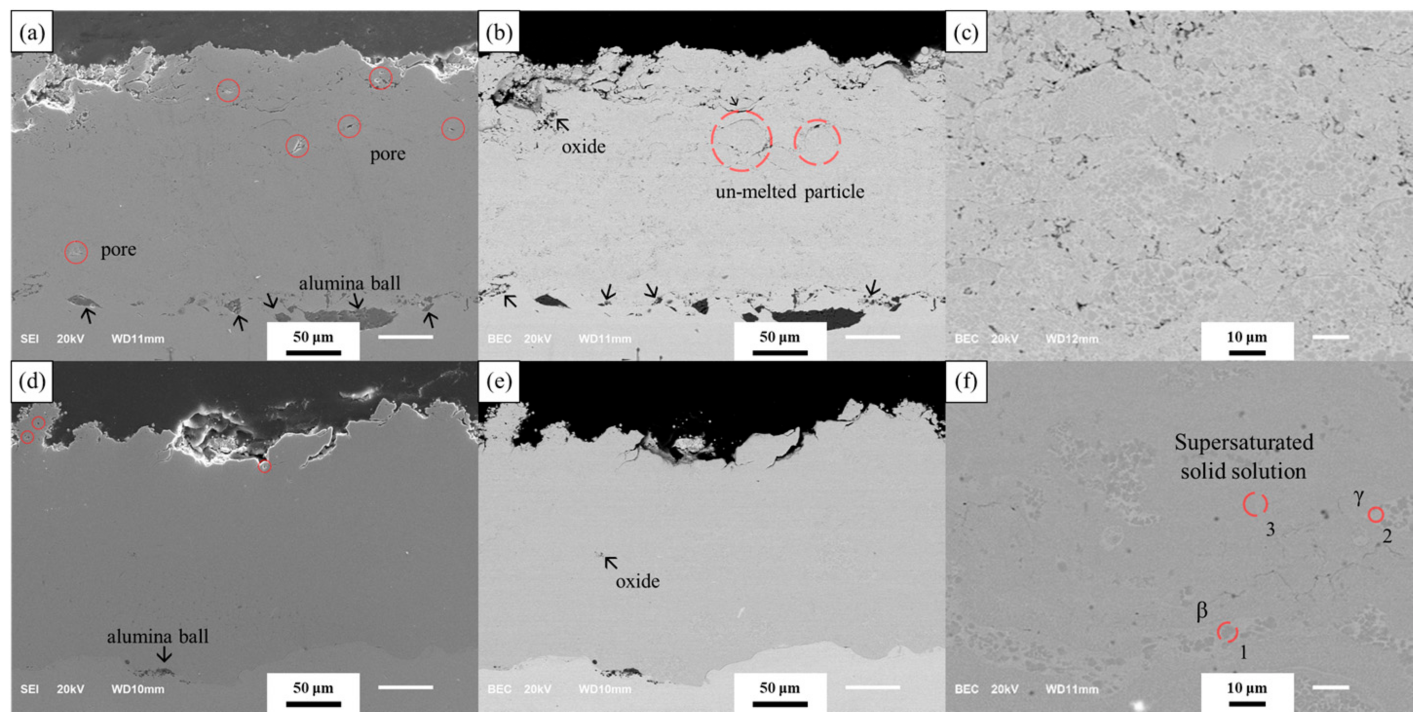 Coatings 13 00319 g003