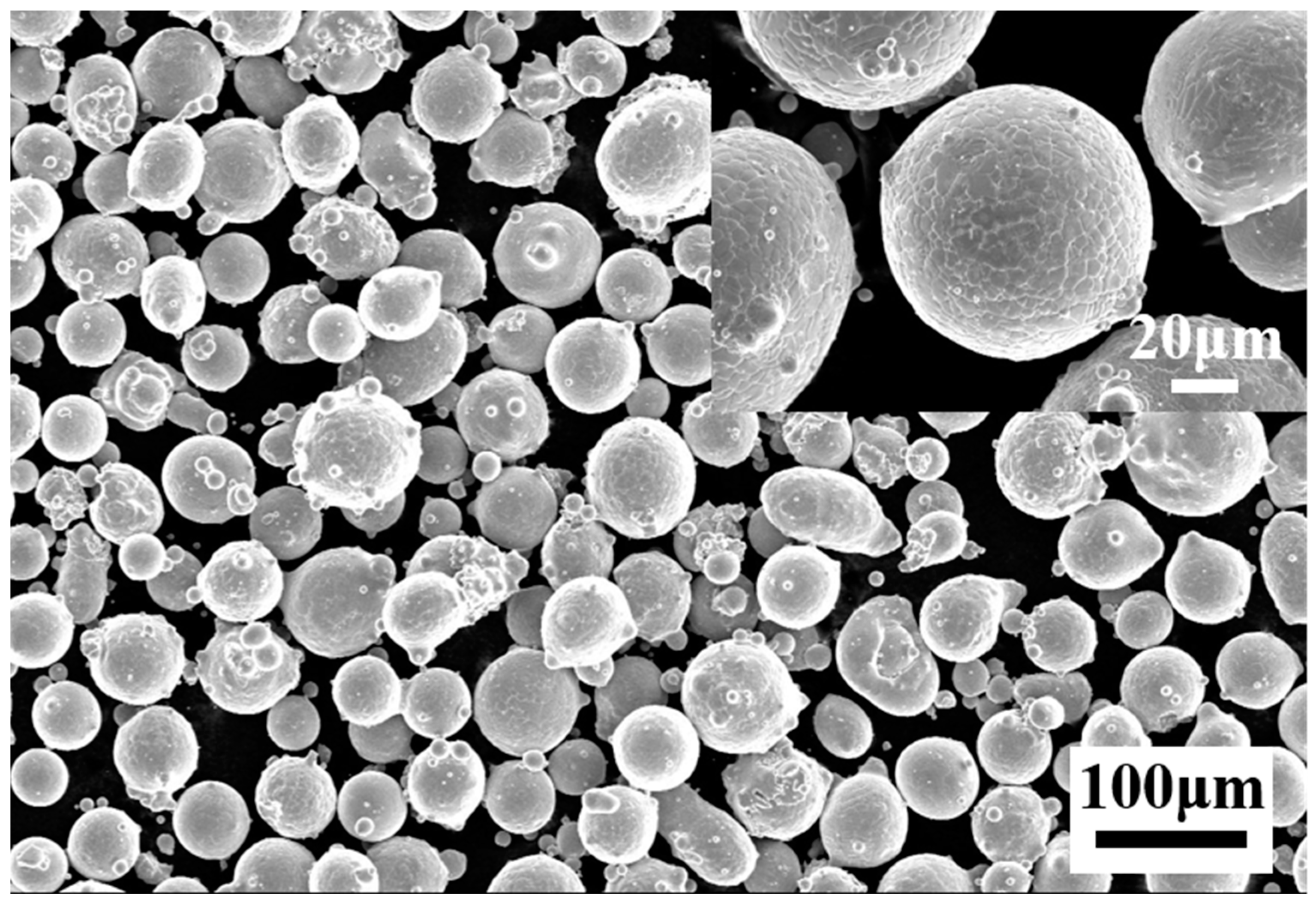 Coatings 13 00340 g001