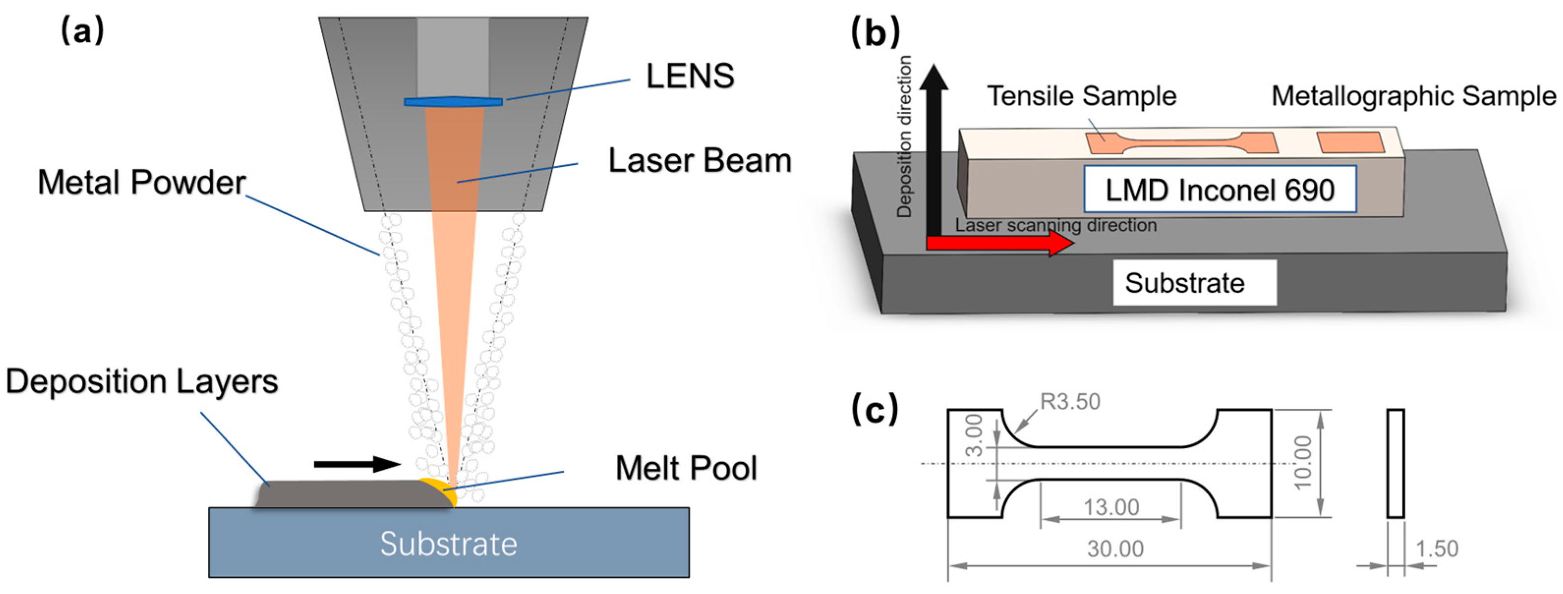 Coatings 13 00340 g002
