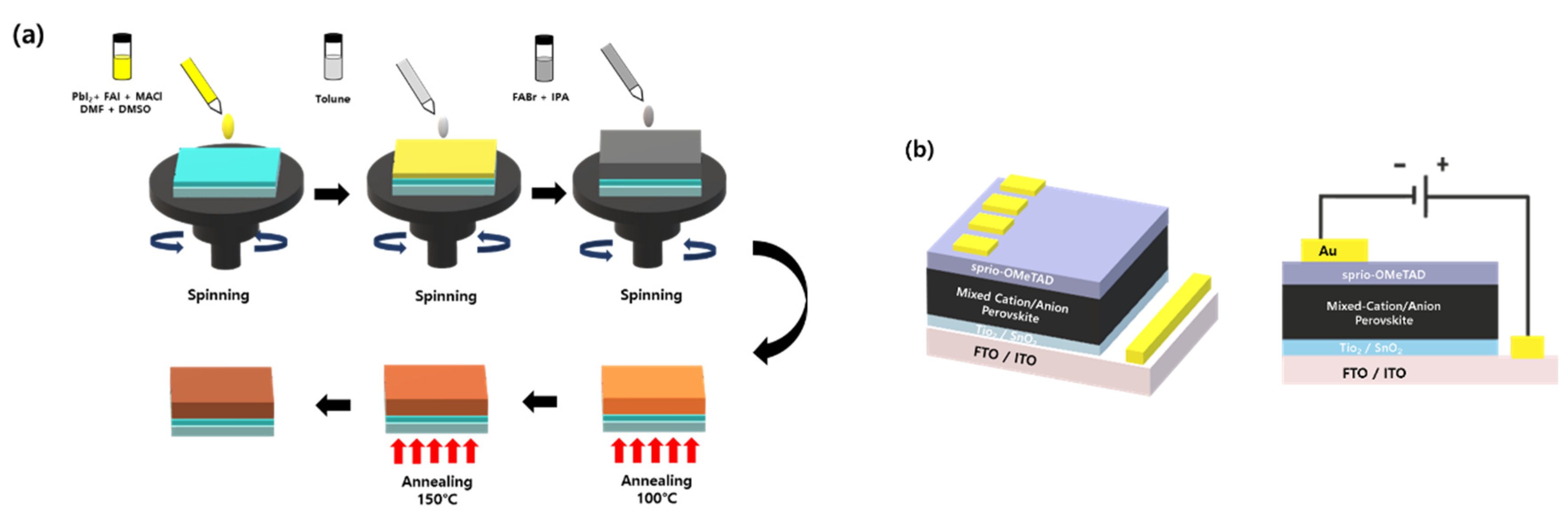 Coatings 13 00341 g001