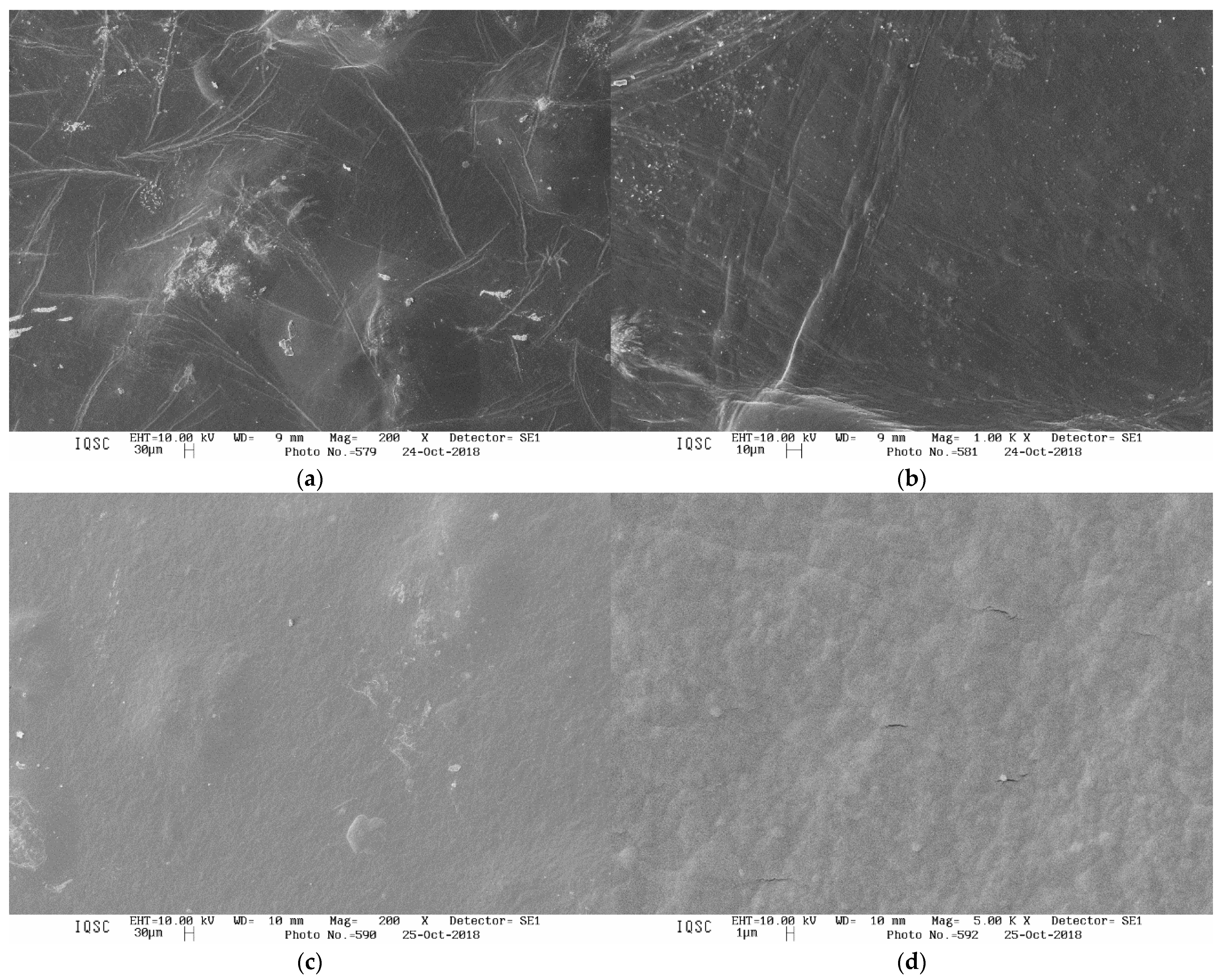 Coatings 13 00350 g003