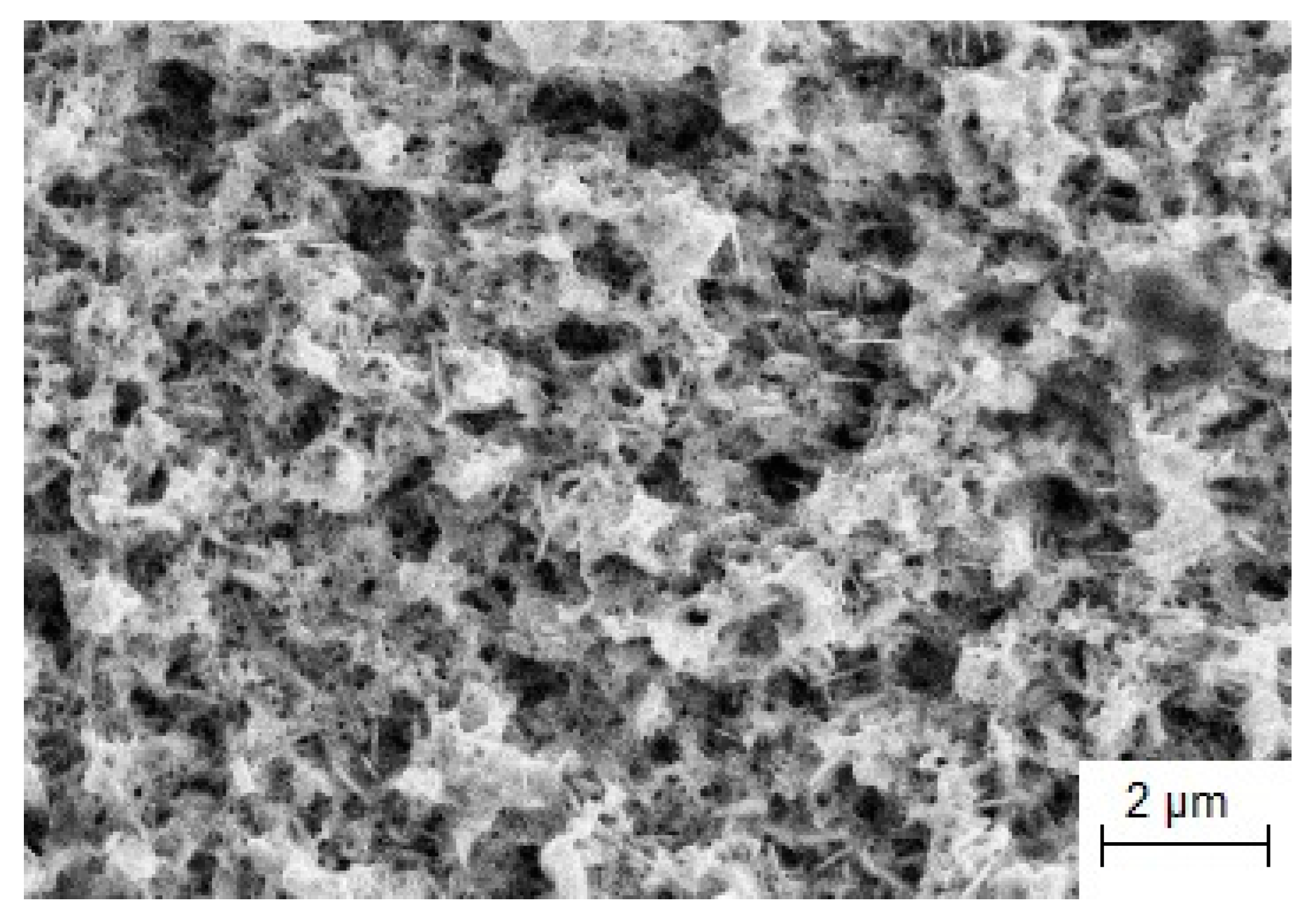 Coatings 13 00352 g002