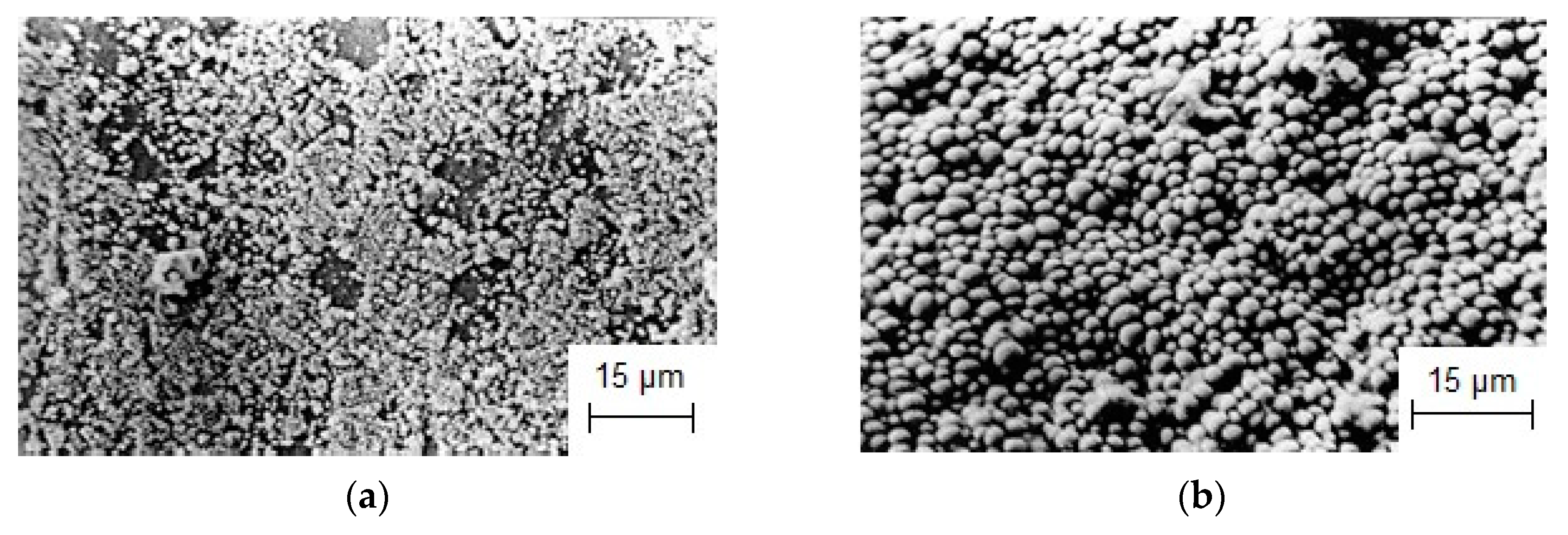 Coatings 13 00352 g007